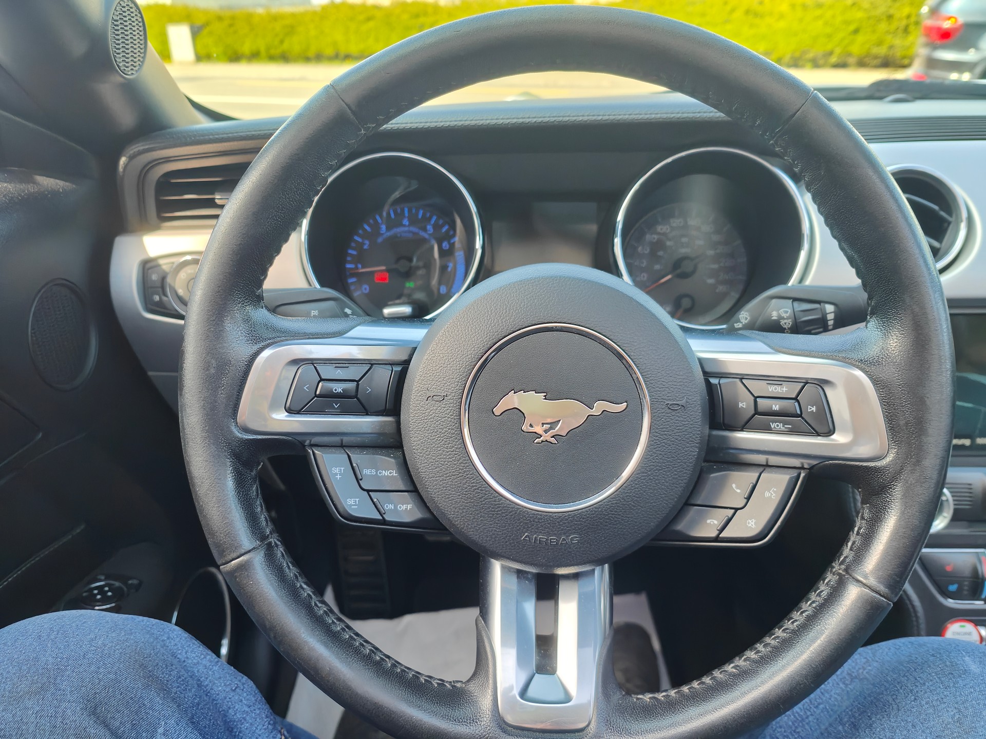 FORD Mustang Convertible 2.3-image-15