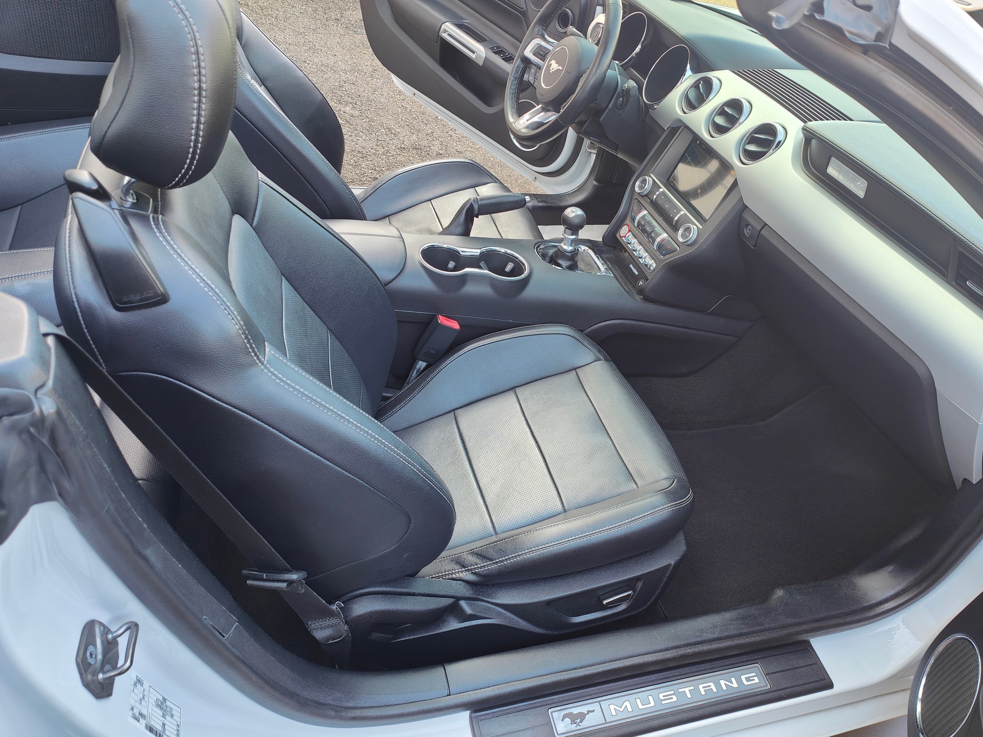 FORD Mustang Convertible 2.3-image-11