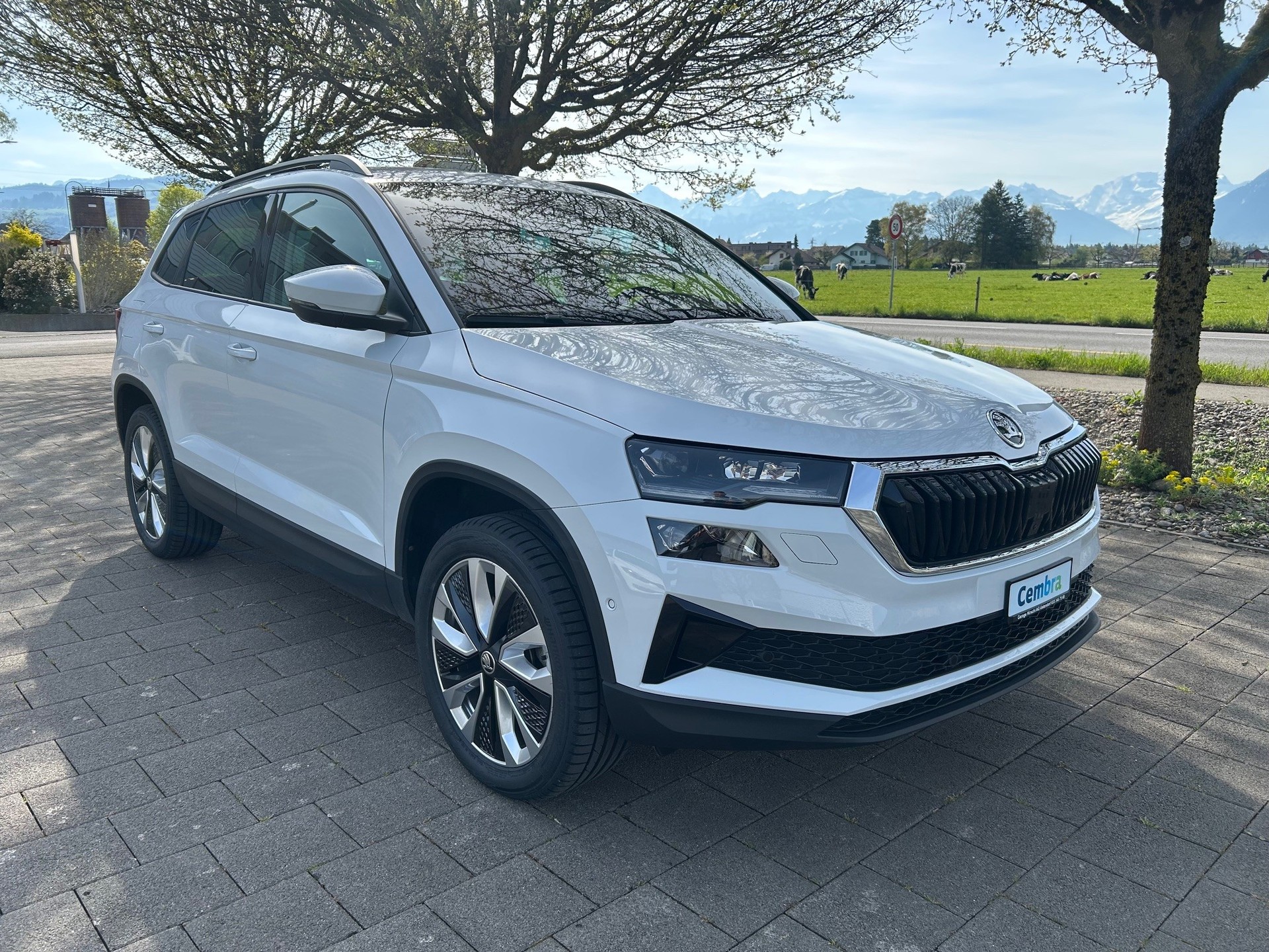 SKODA Karoq 2.0 TDI CR Style 4x4 DSG