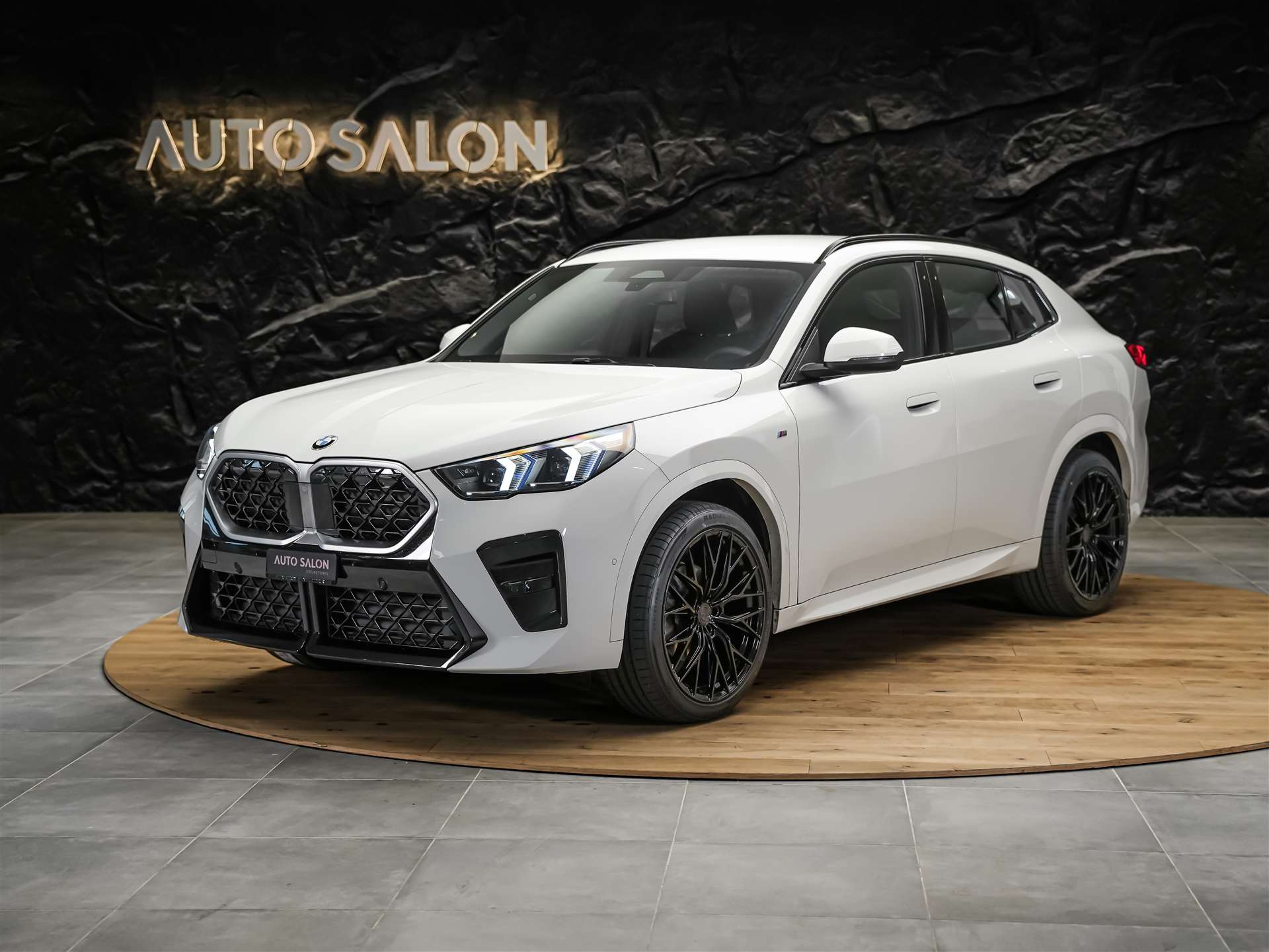 BMW X2 xDrive 20d M Sport *Werksgarantie*20" Felgen*AHK*
