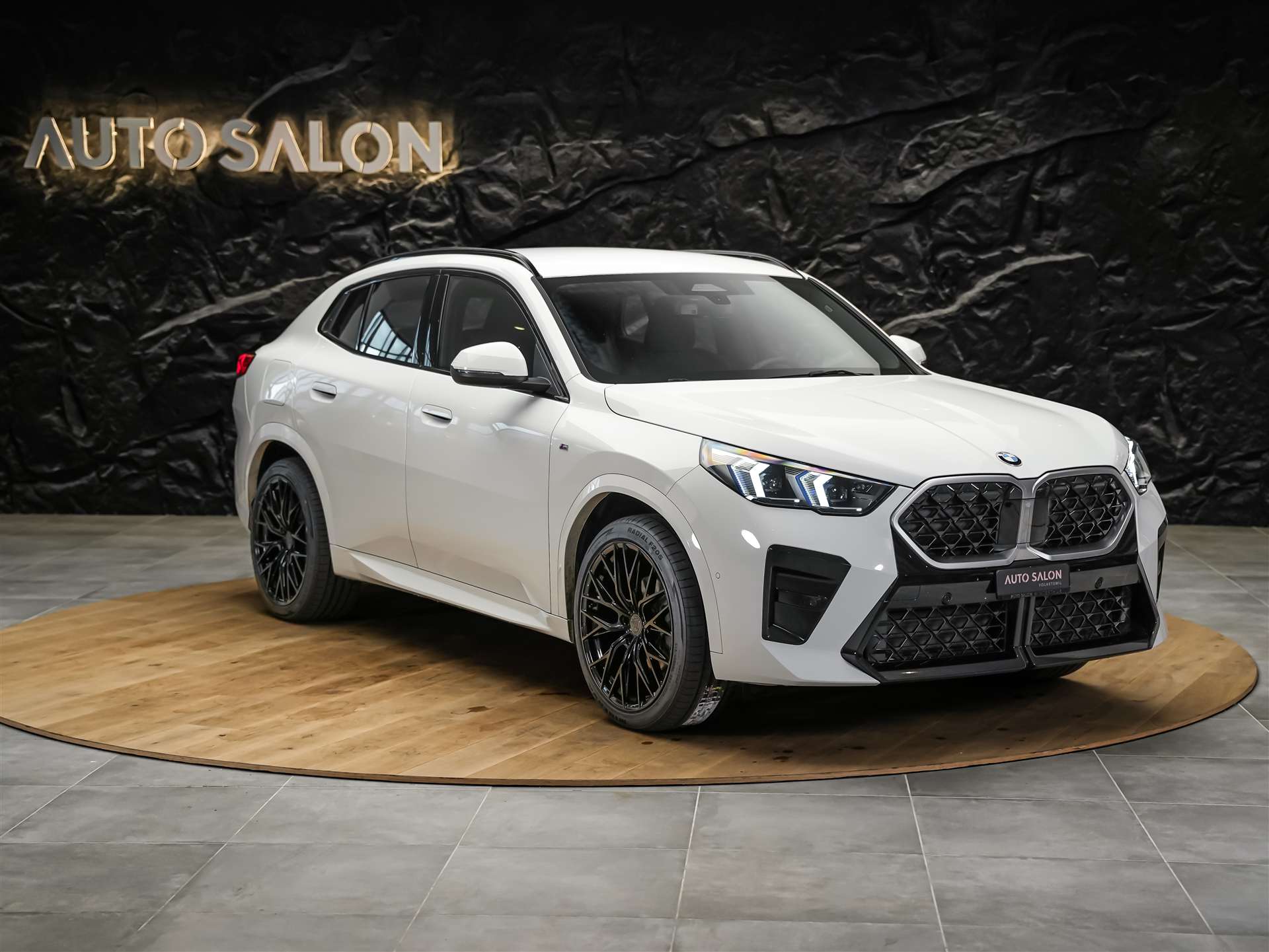 BMW X2 xDrive 20d M Sport *Werksgarantie*20" Felgen*AHK*-image-5