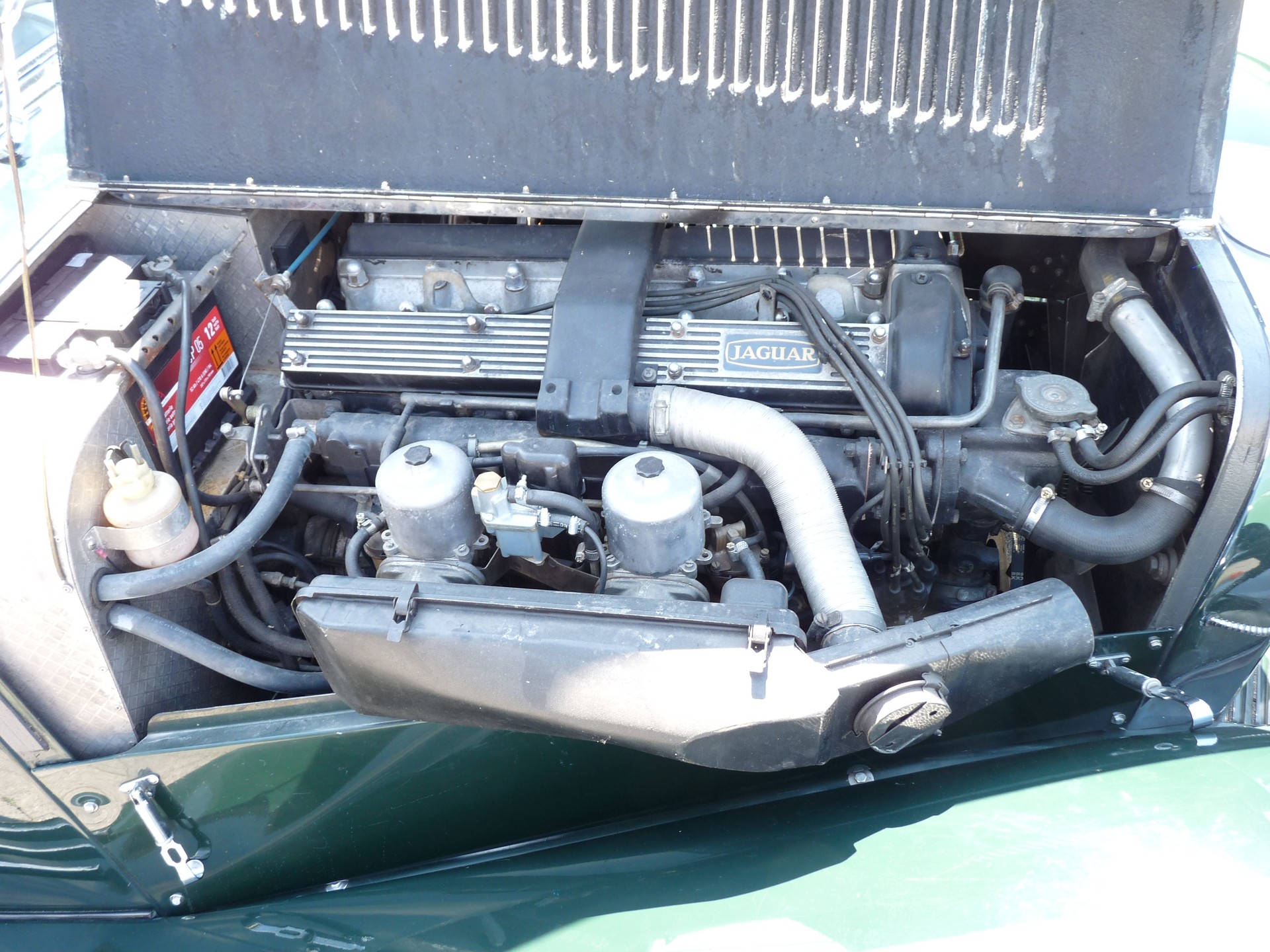 PANTHER-image-5