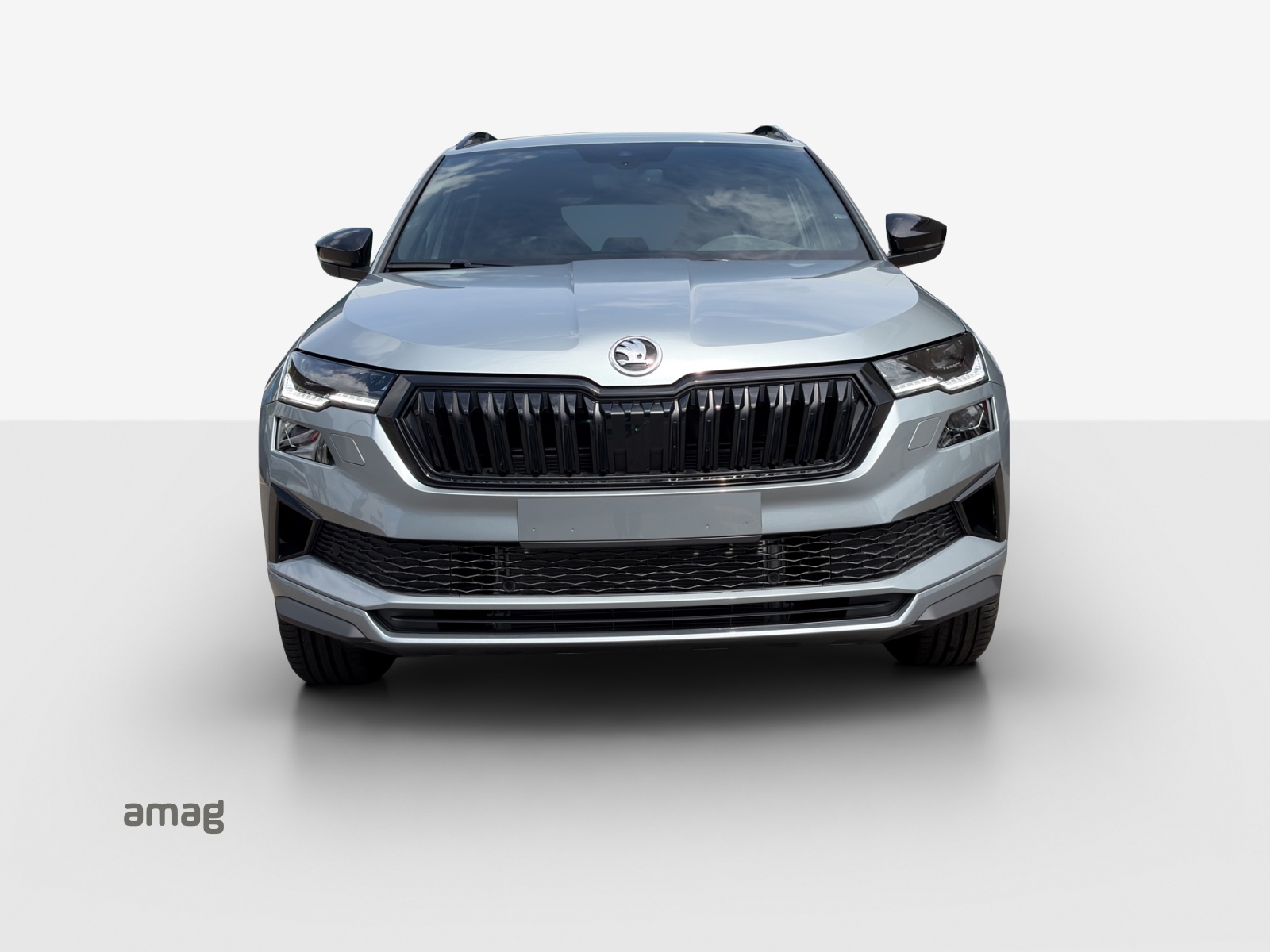 SKODA Karoq 2.0 TSI SportLine 4x4 DSG-image-6