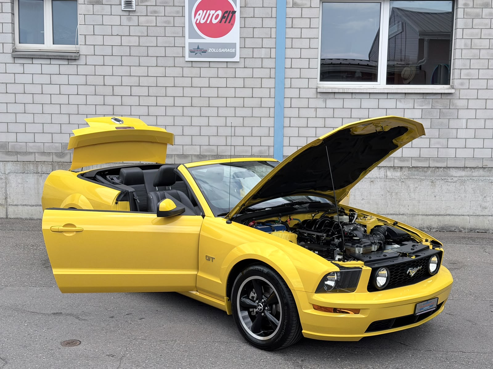FORD MUSTANG GT 4.6-V8 CONV. CABRIO-image-15