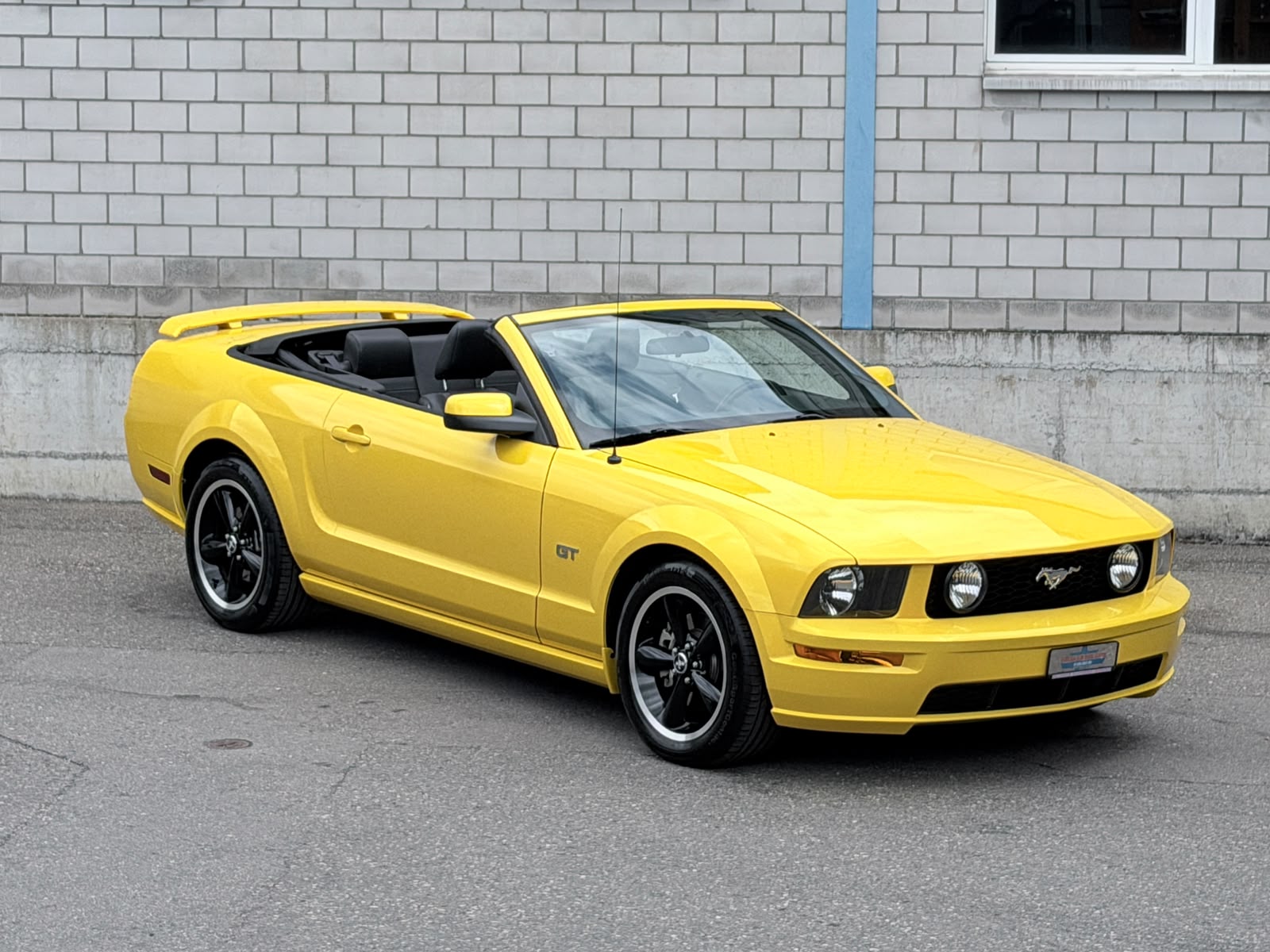 FORD MUSTANG GT 4.6-V8 CONV. CABRIO-showroom-element-1