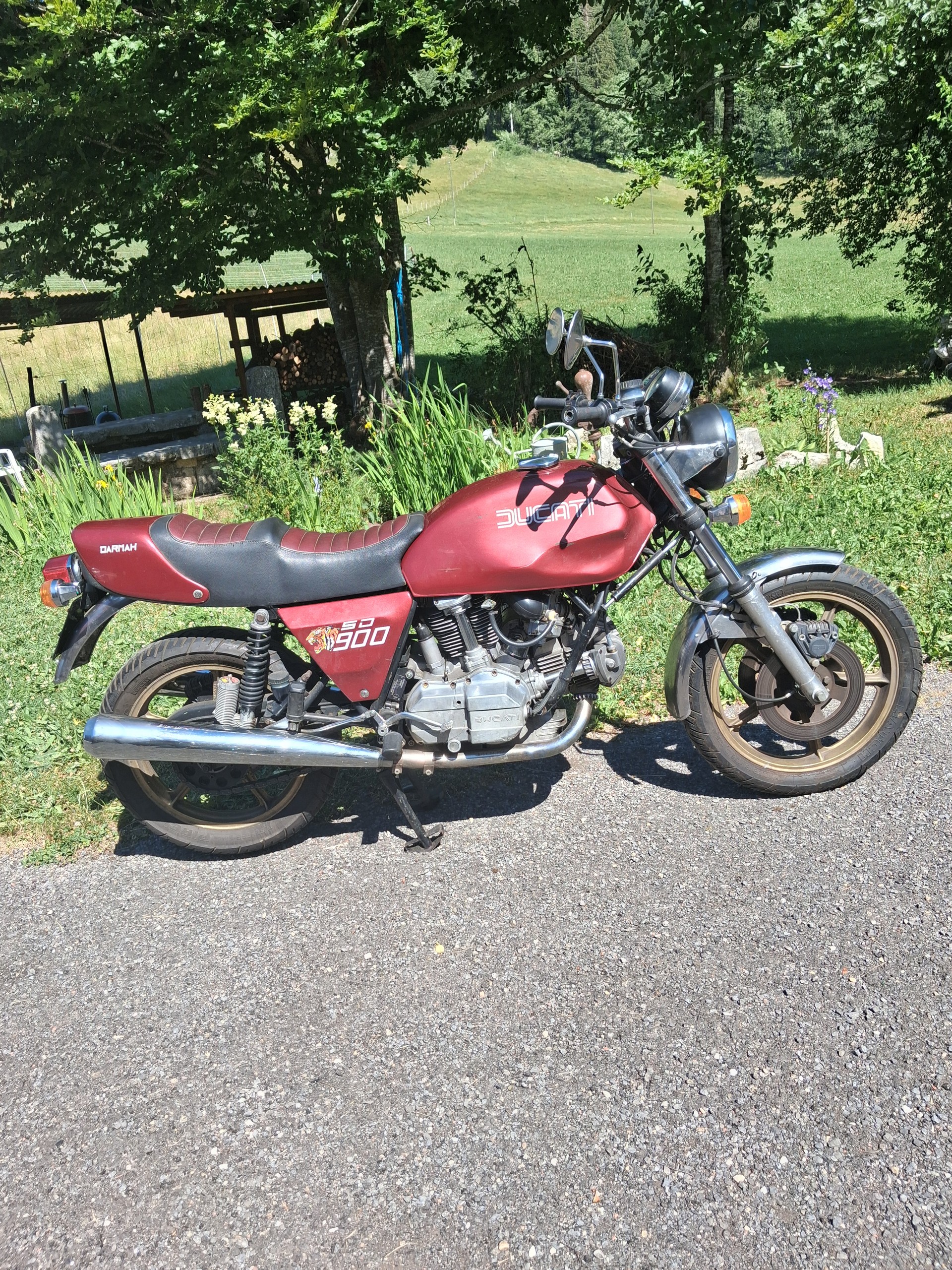 DUCATI Darmah-image-1