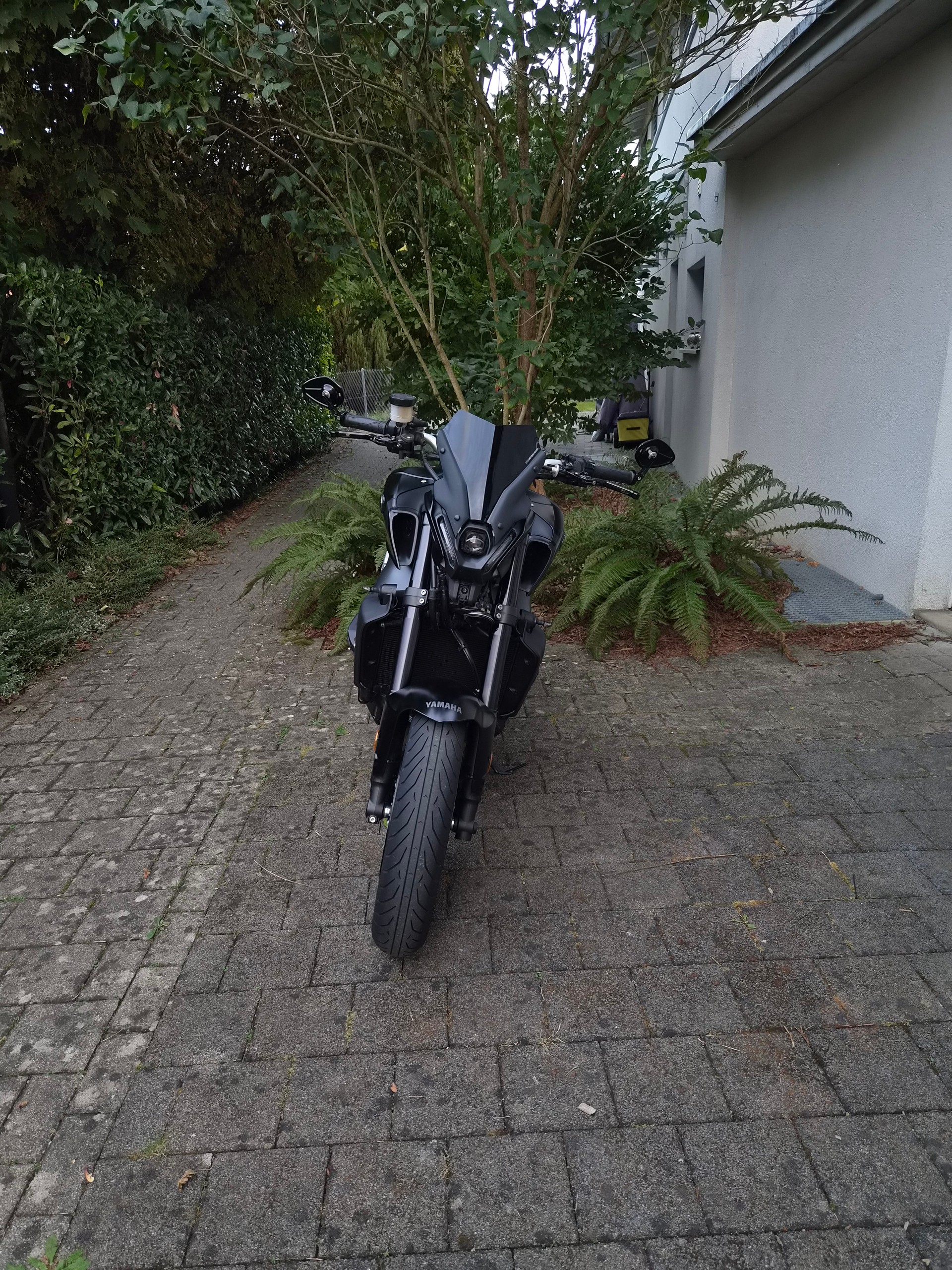 YAMAHA MT-09-image-10