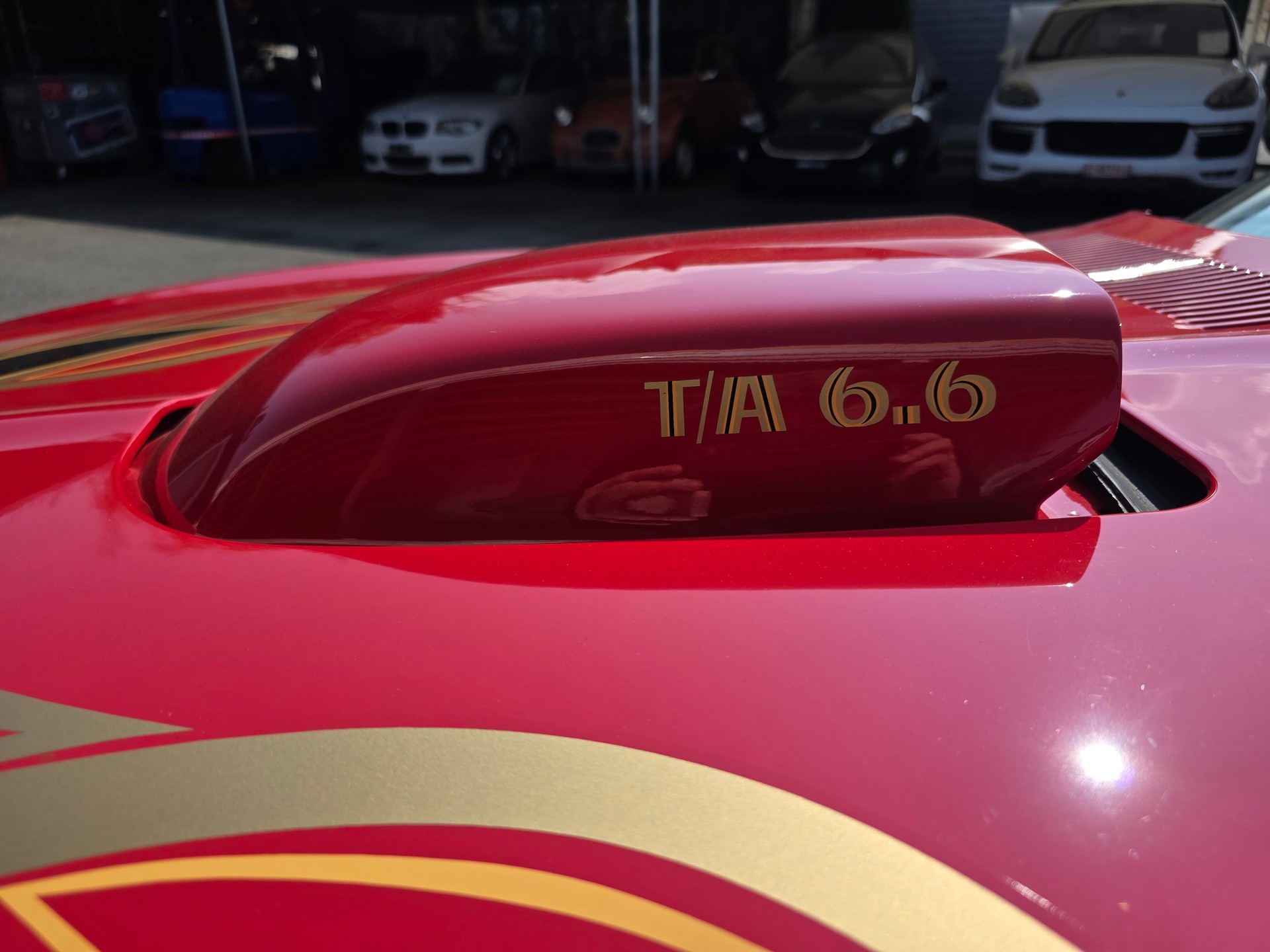 PONTIAC Trans Am 6.6 T/A (W72 400)-image-11