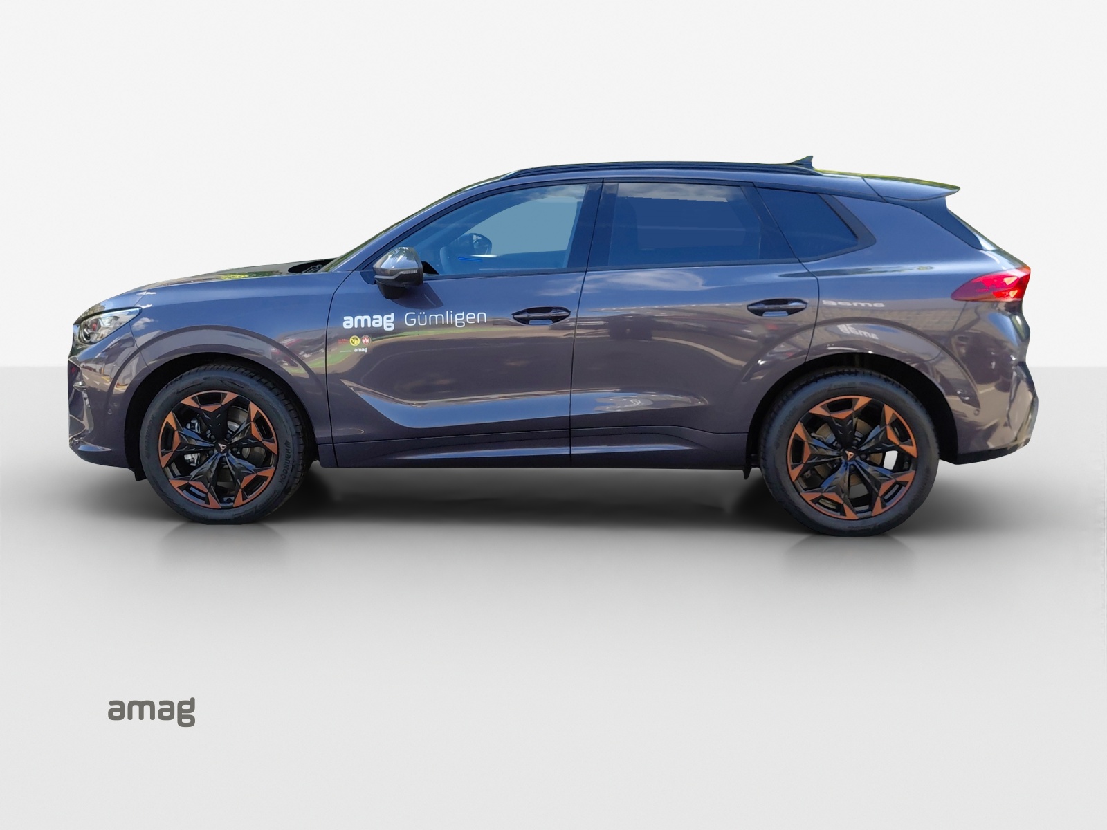 CUPRA Terramar 2.0 TSI DSG 4Drive-showroom-element-1