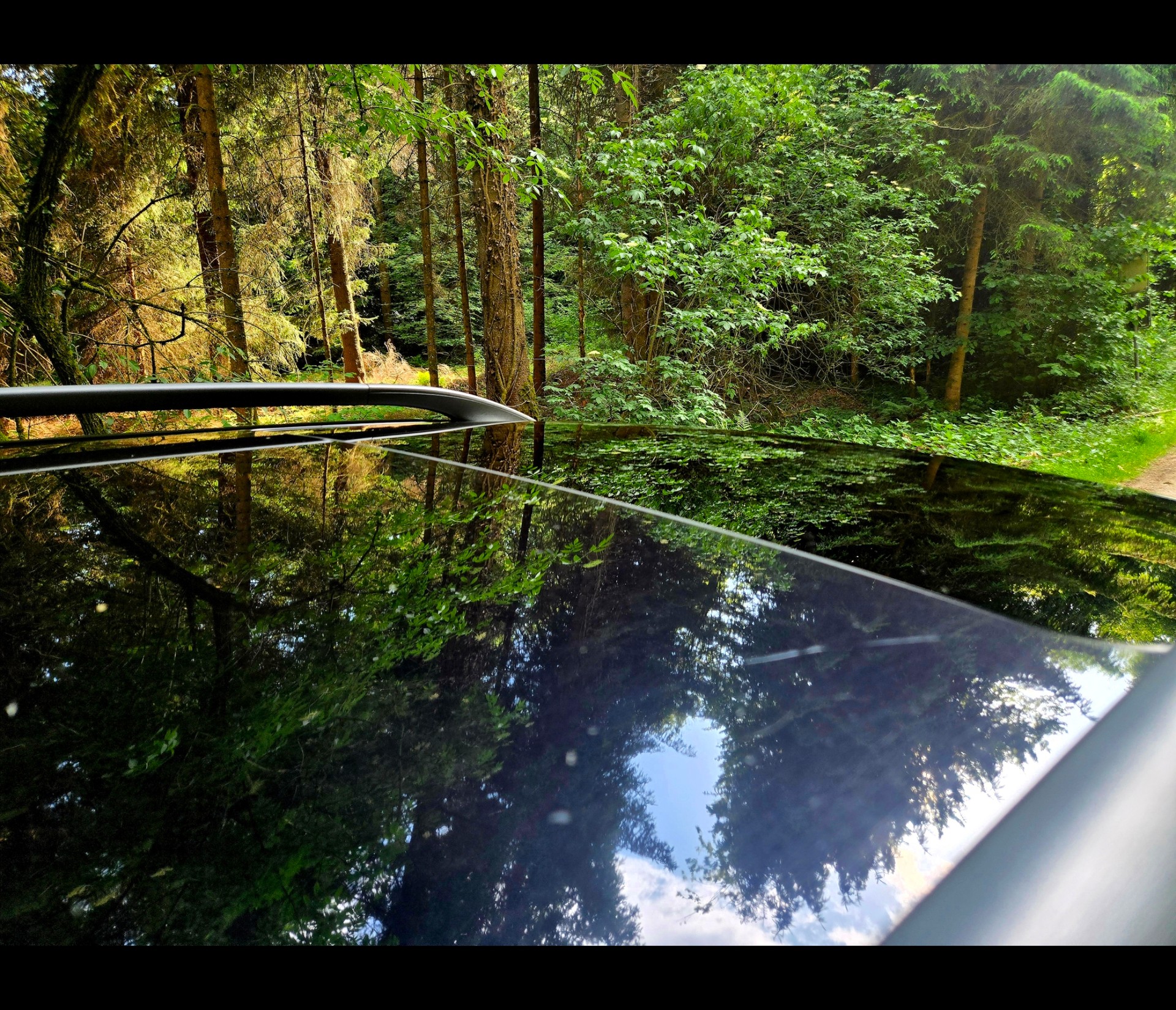 VOLVO V40 2.0 Limited Sports Edition-image-8