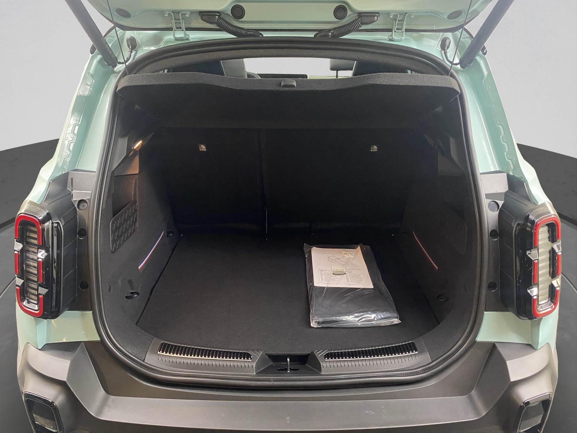 RENAULT 4 E-Tech-image-11