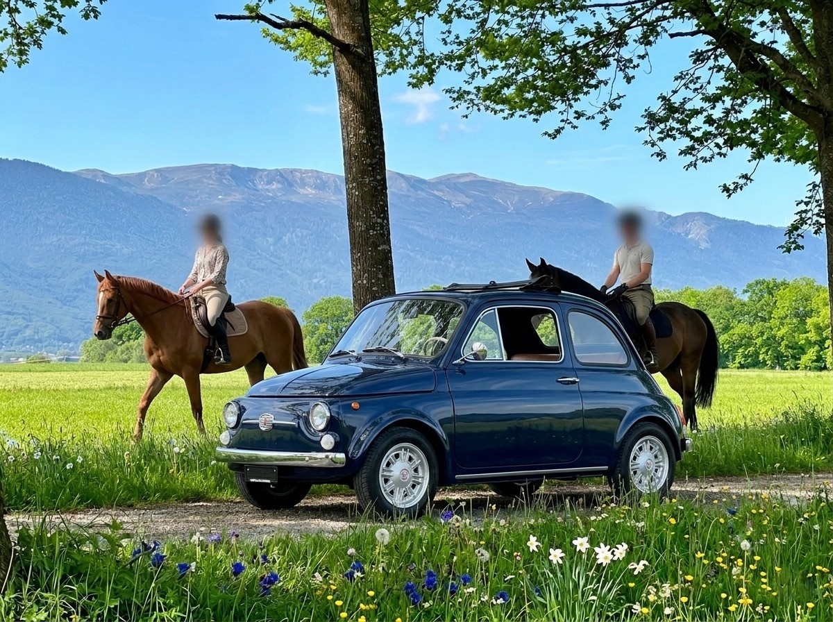 FIAT 500 Nuova 110F