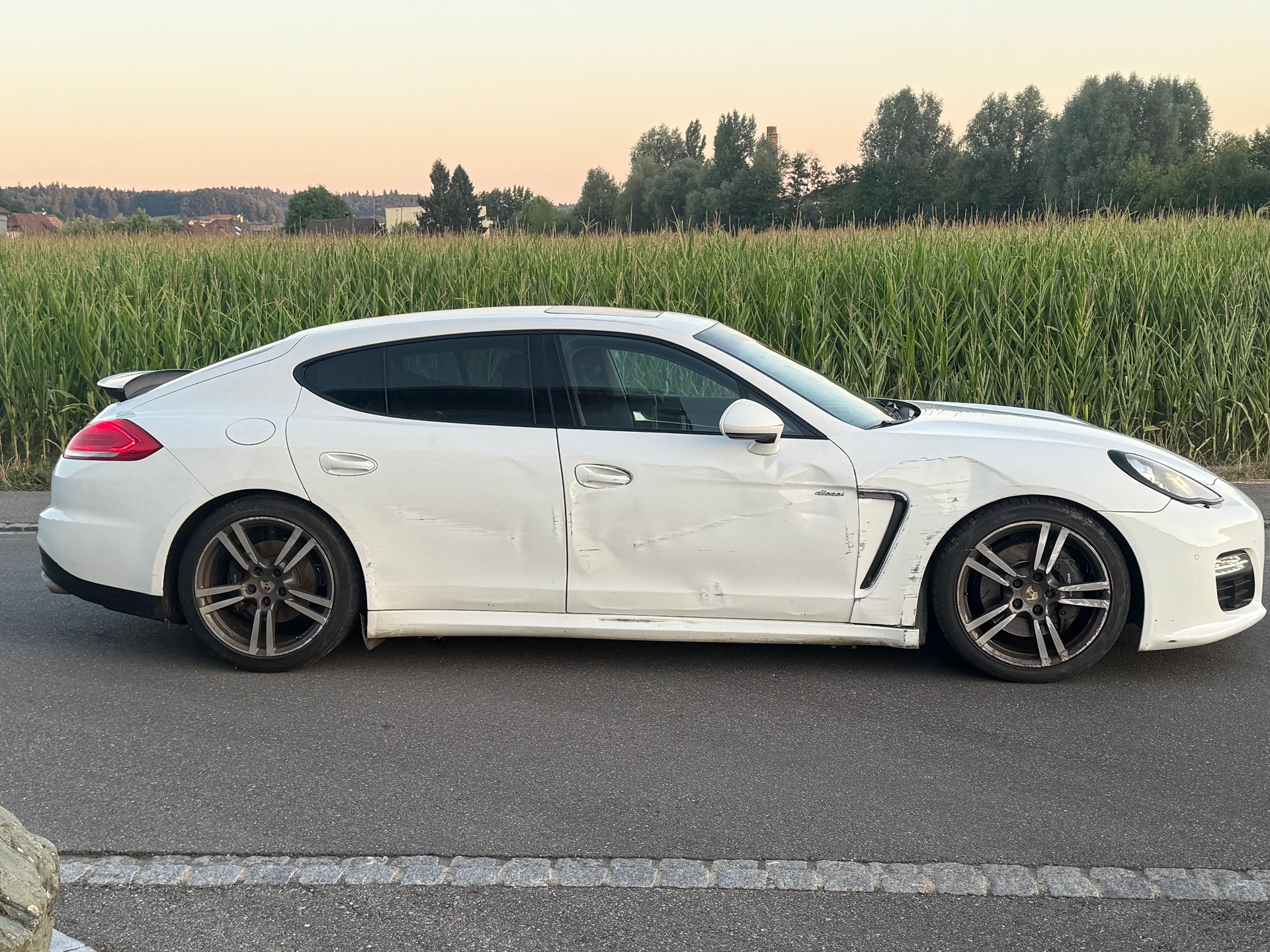 PORSCHE Panamera 3.0 Diesel Tiptronic-image-2