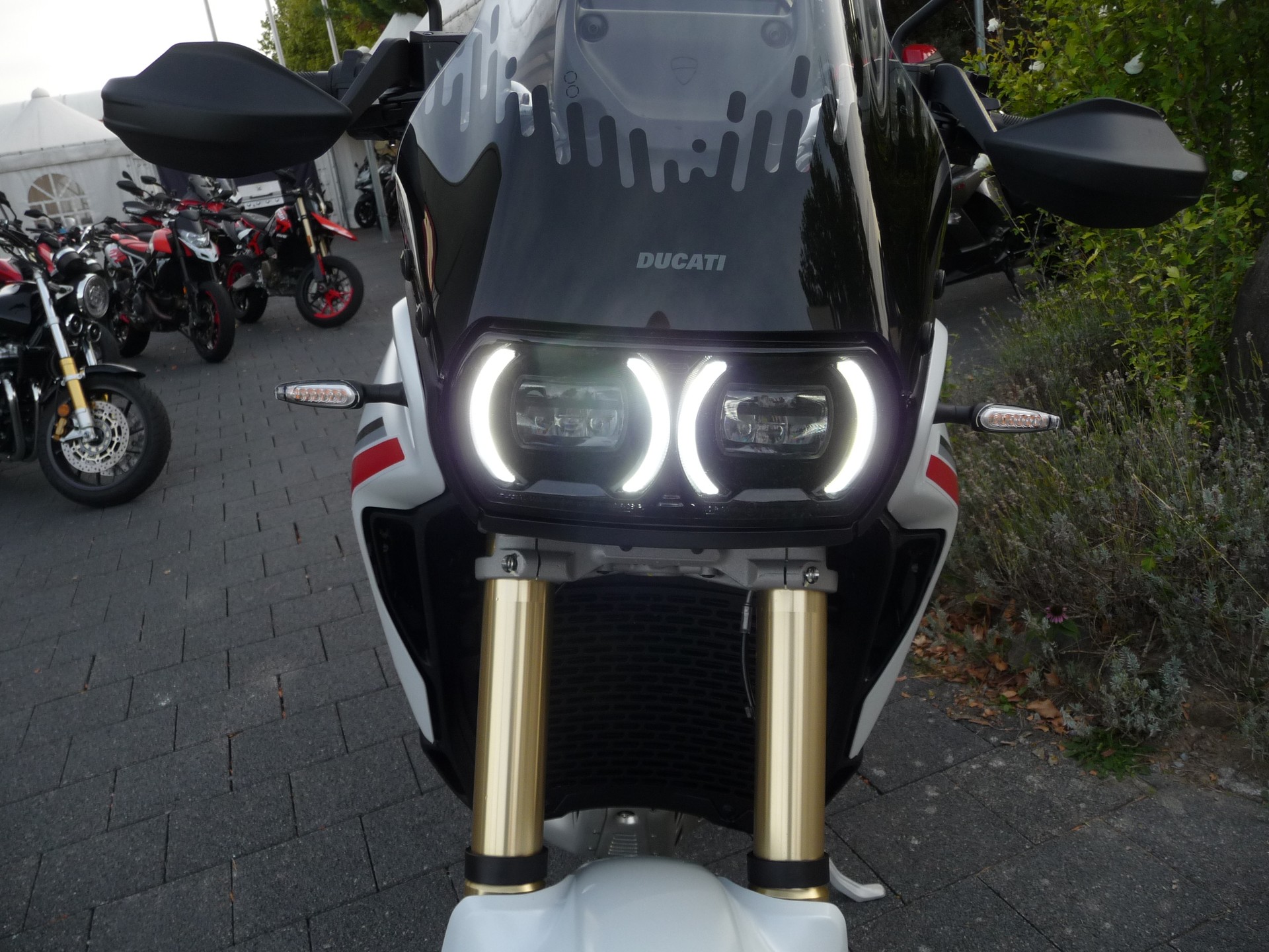DUCATI Desert X-image-7