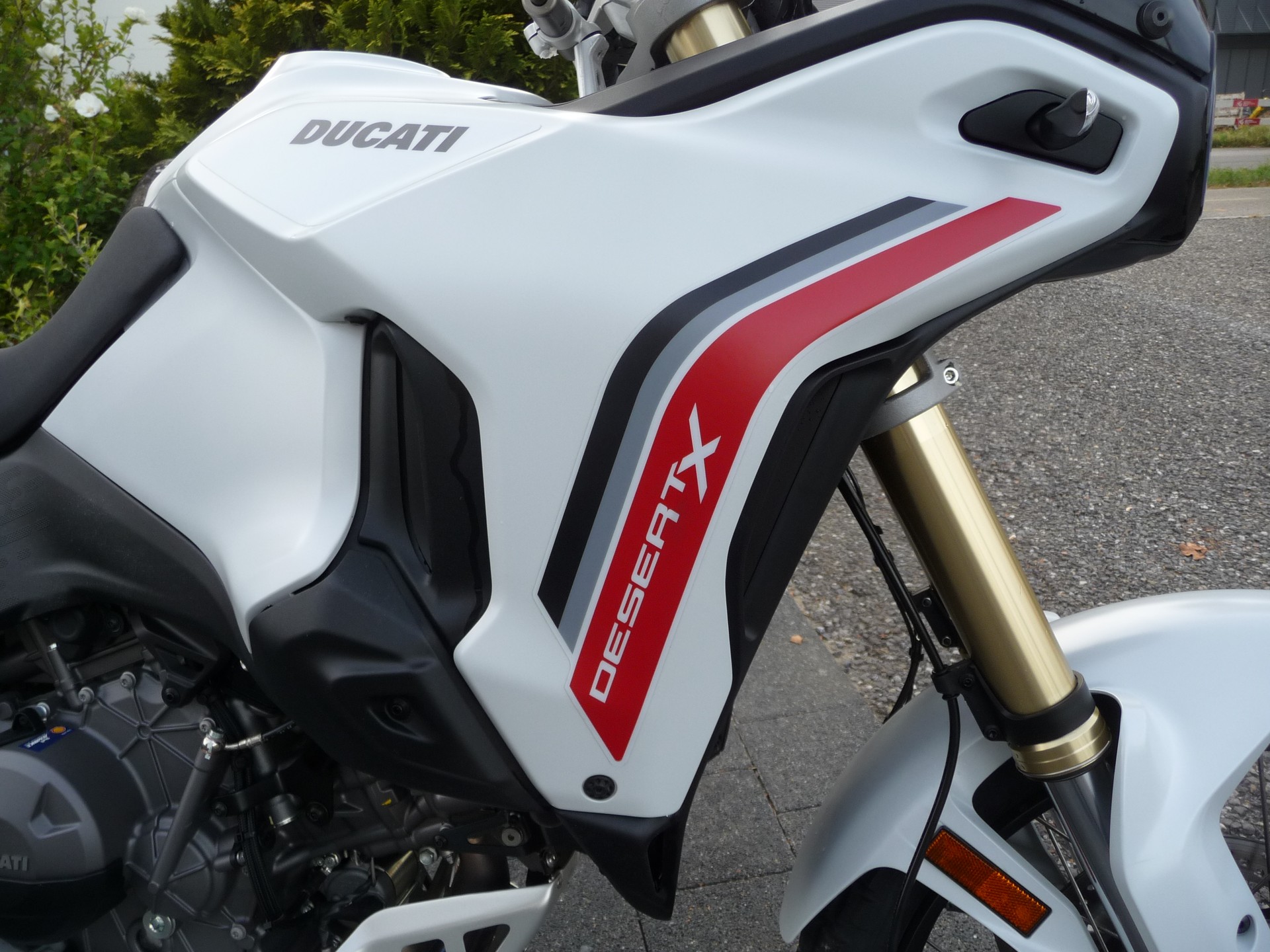DUCATI Desert X-image-5
