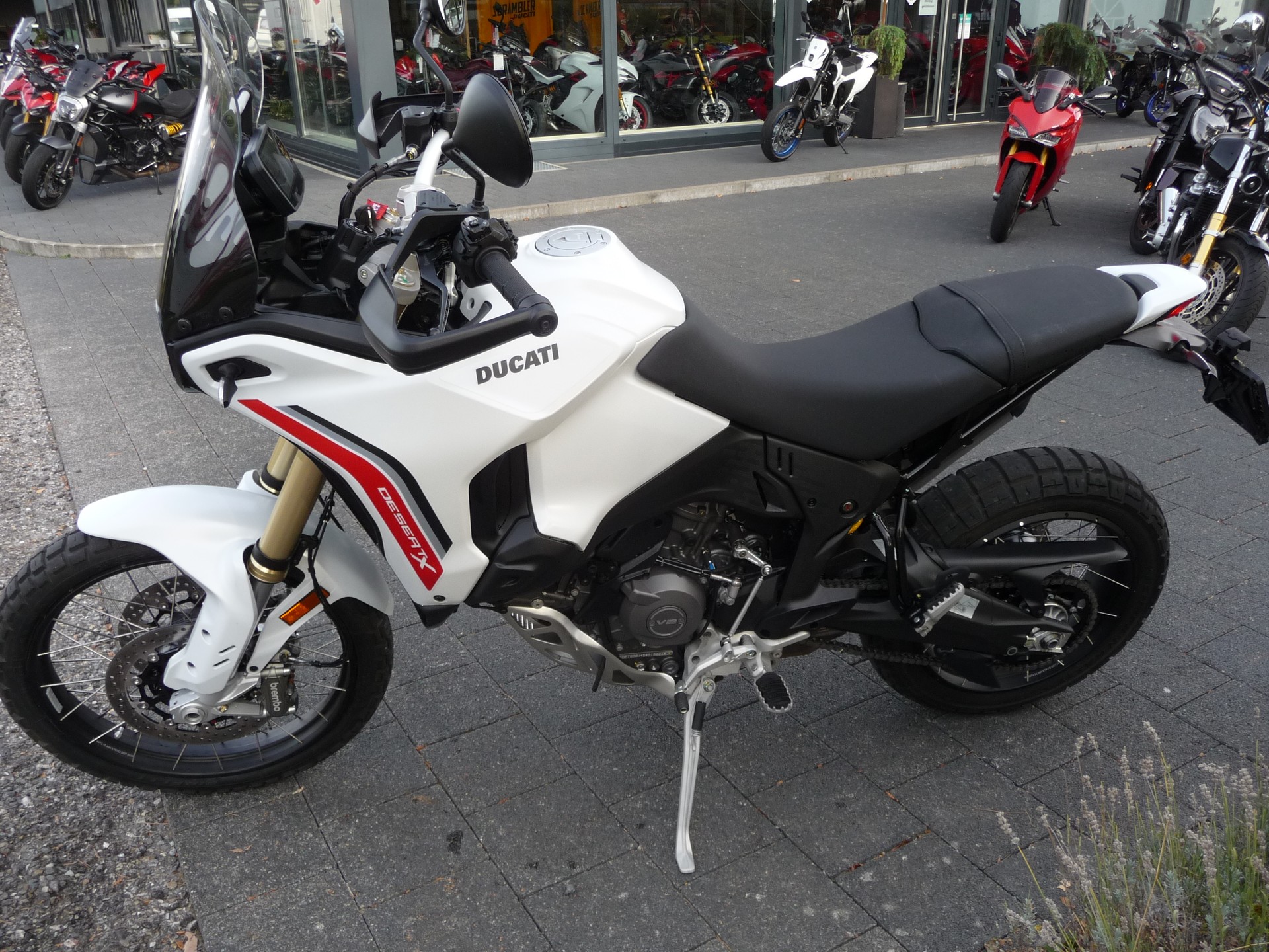 DUCATI Desert X-showroom-element-3