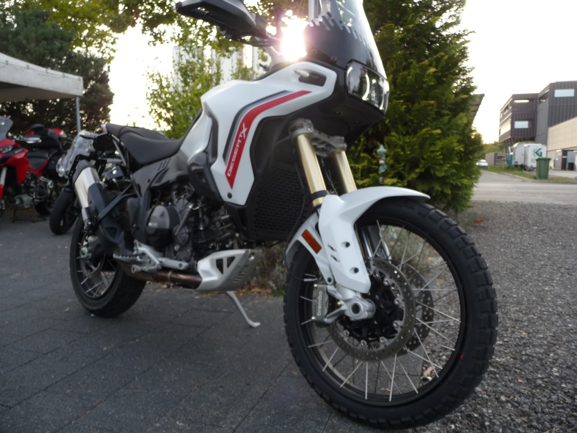 DUCATI Desert X-image-4