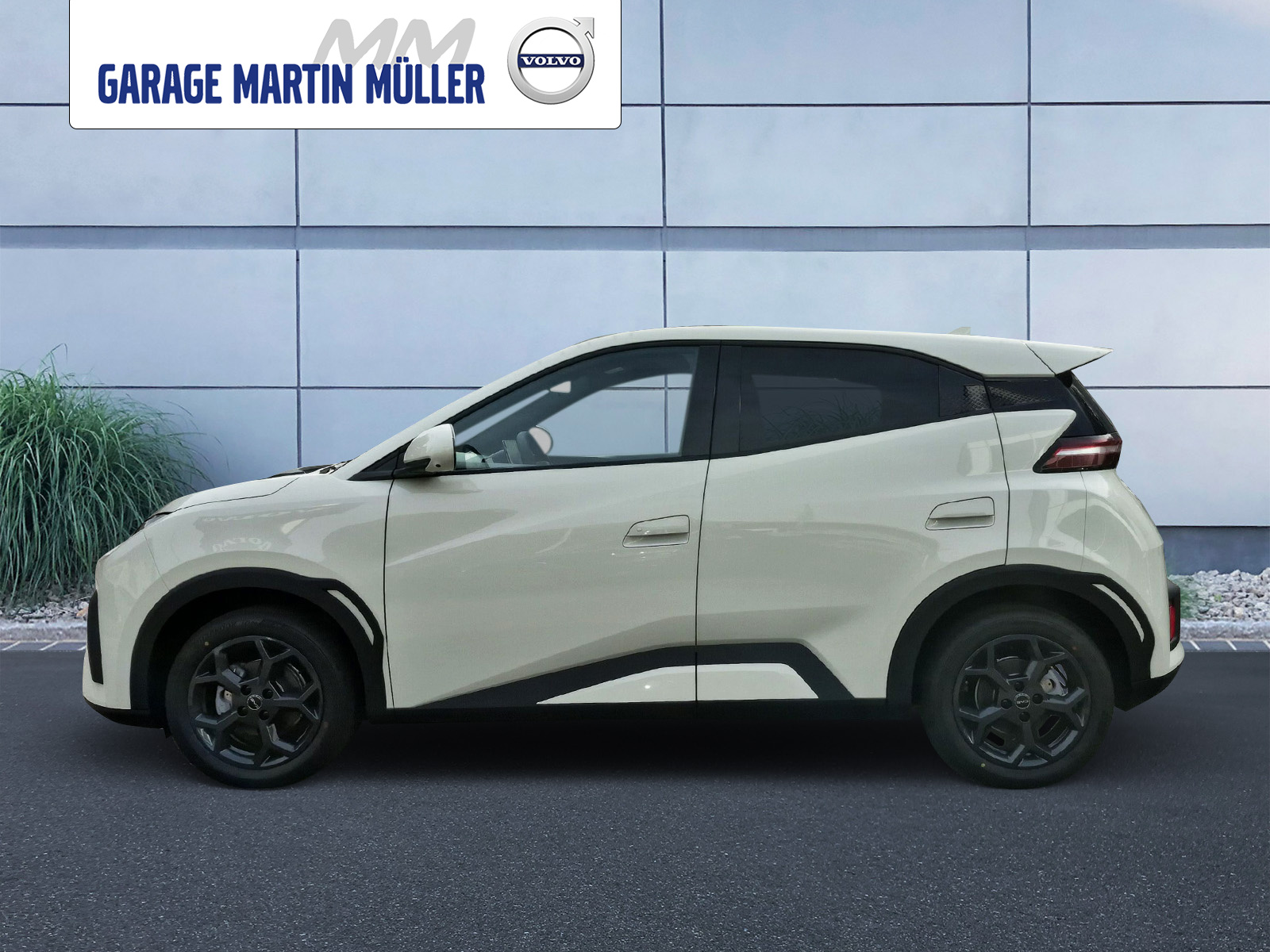 BYD Dolphin Surf Comfort FWD-showroom-element-1