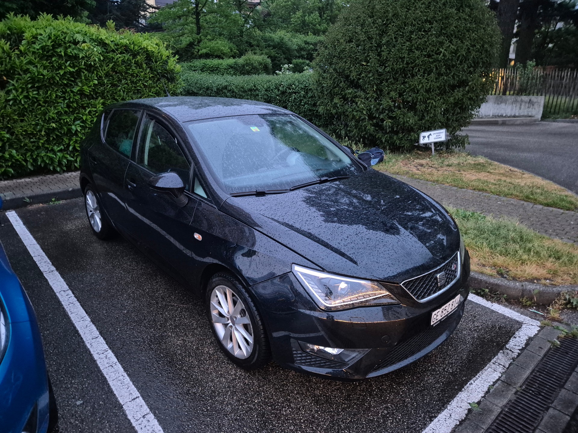 SEAT Ibiza 1.2 TSI FR-image-1