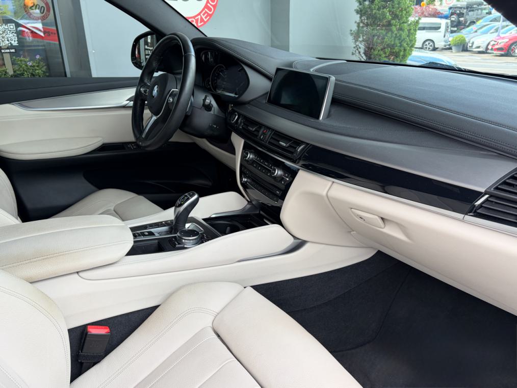 BMW X6 xDrive 40d M Sport-image-8