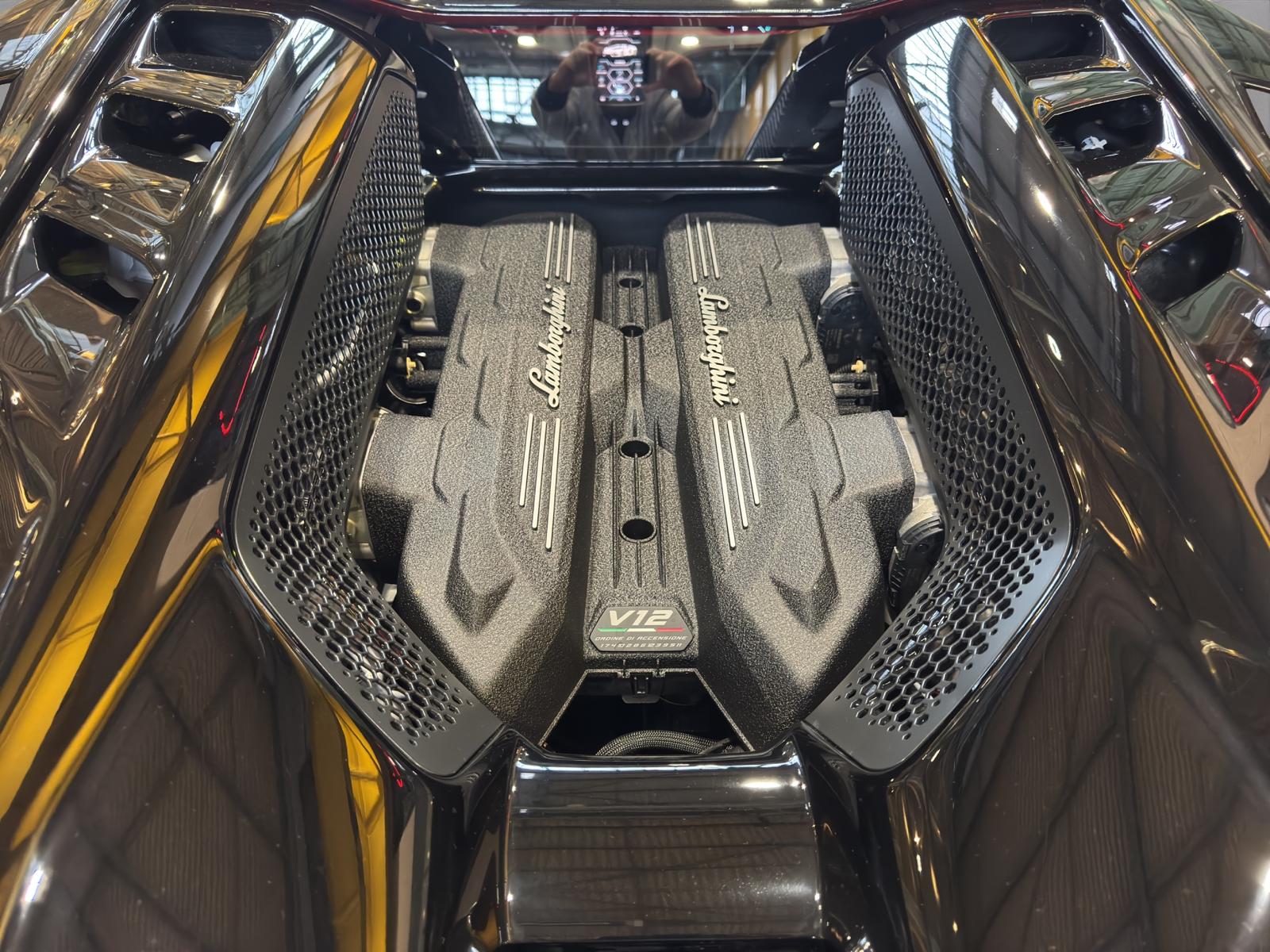 LAMBORGHINI Revuelto 6.5 V12 HPEV/P. Display/Lift/Cam/Carbon-image-15