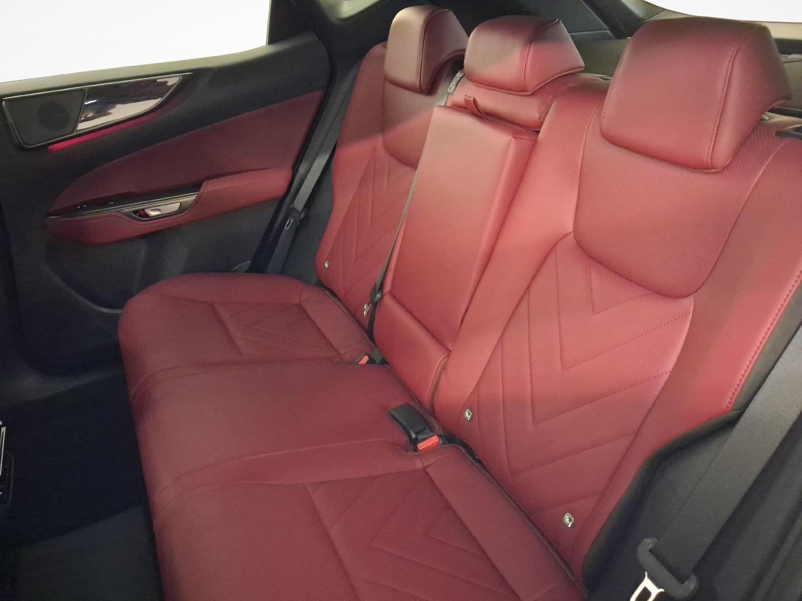 LEXUS NX 450h+ Comfort-image-10