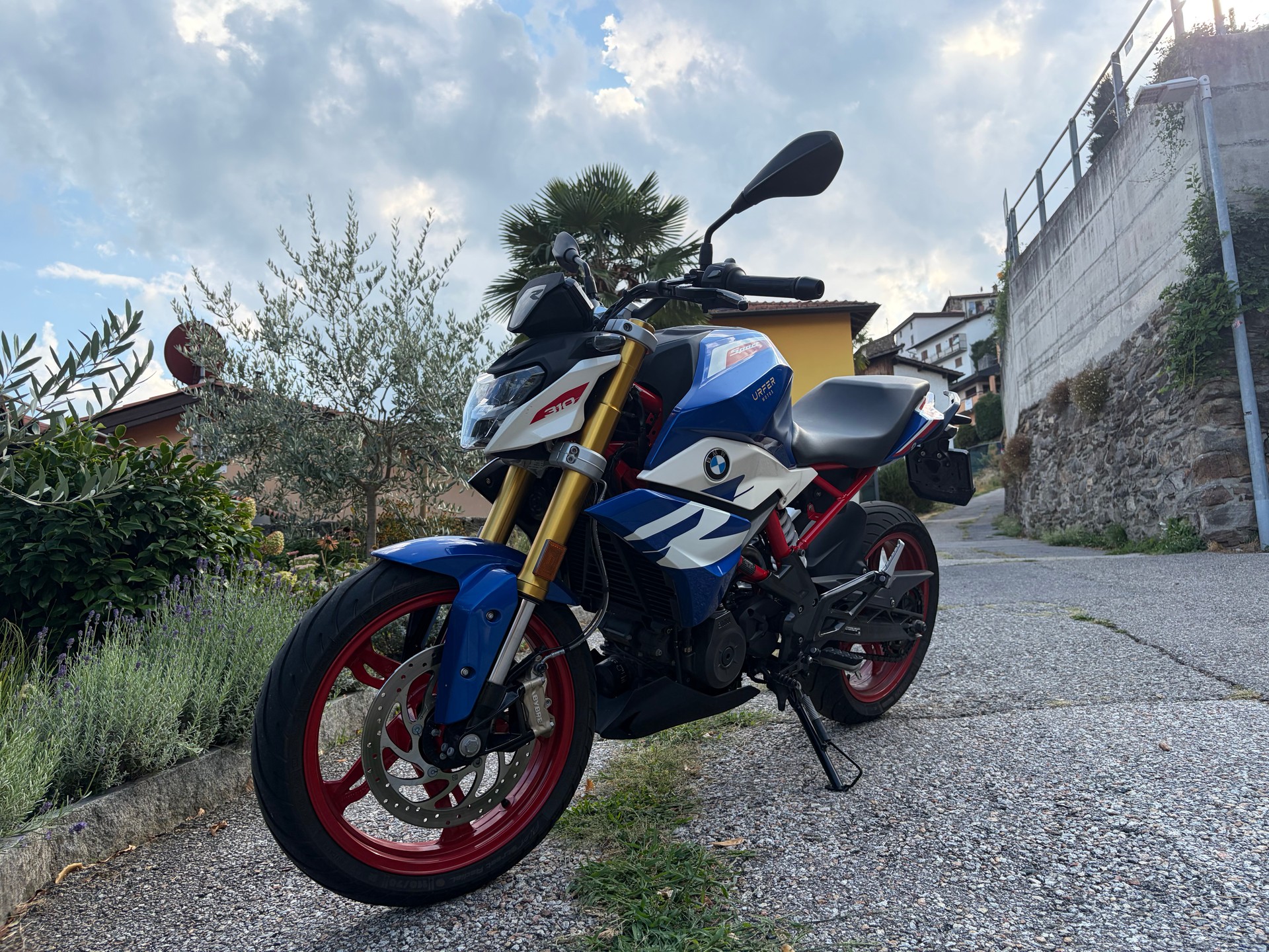 BMW G 310 R-image-3