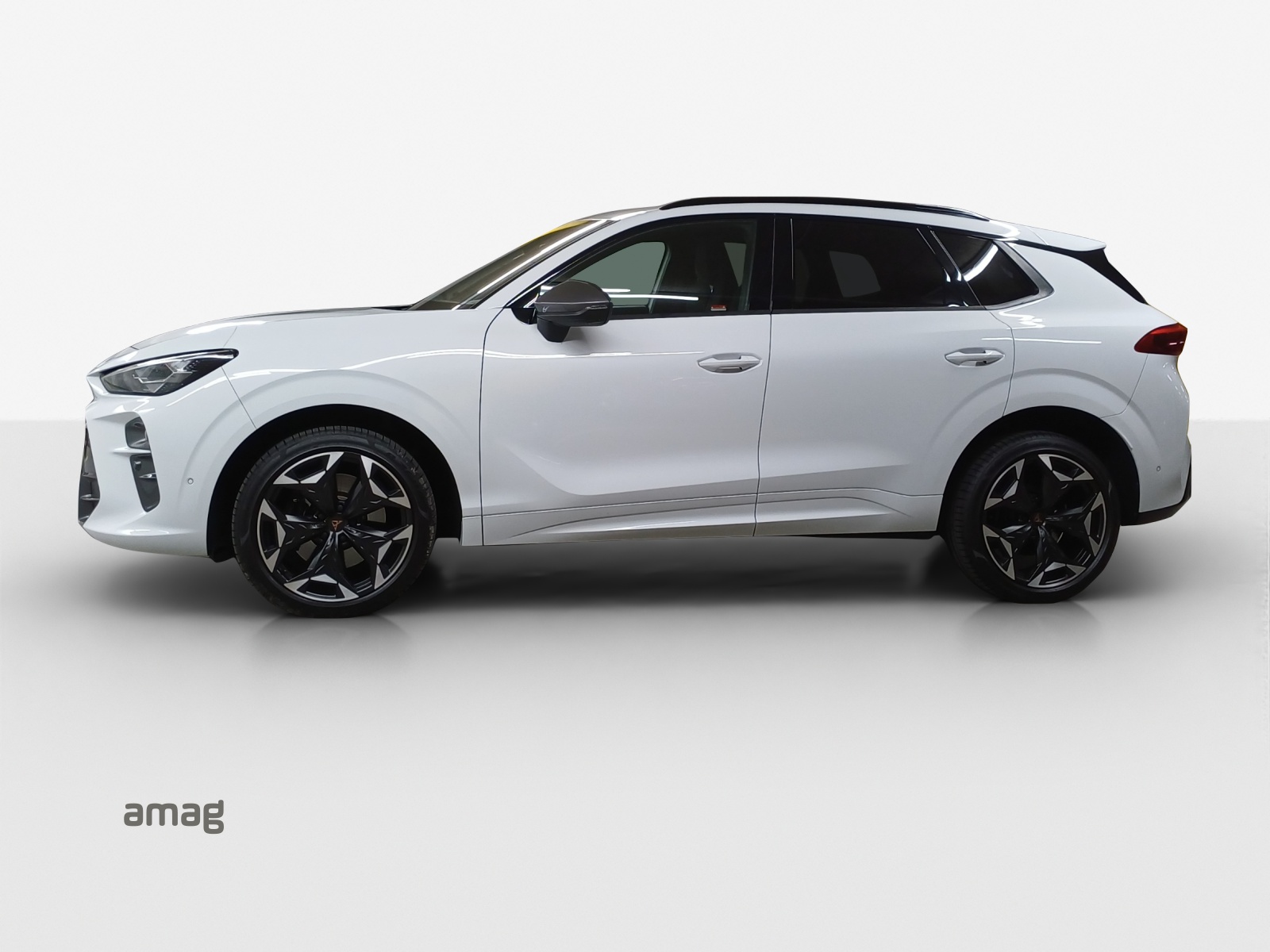 CUPRA Terramar 2.0 TSI DSG 4Drive VZ-showroom-element-1