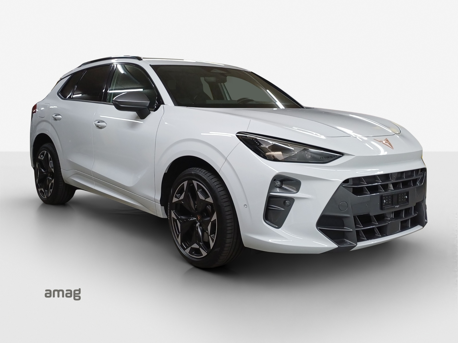 CUPRA Terramar 2.0 TSI DSG 4Drive VZ-image-5