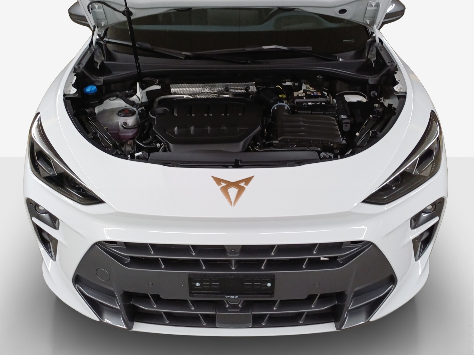 CUPRA Terramar 2.0 TSI DSG 4Drive VZ-image-14