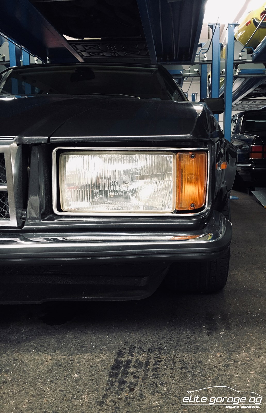 DE TOMASO LONGCHAMP-image-3