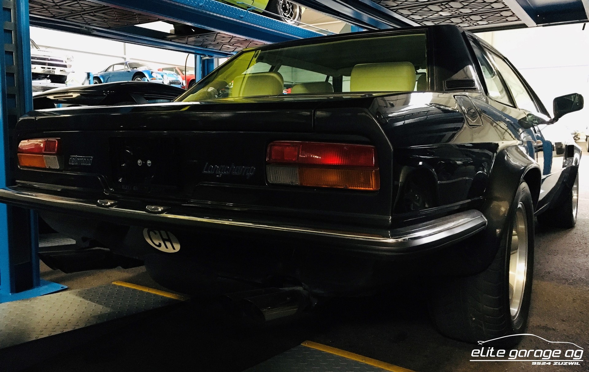 DE TOMASO LONGCHAMP-image-4