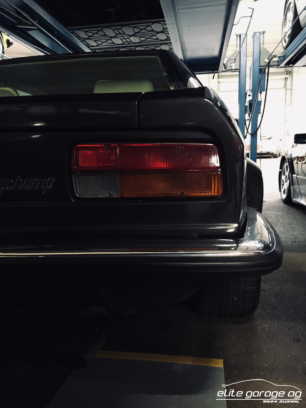 DE TOMASO LONGCHAMP-image-5