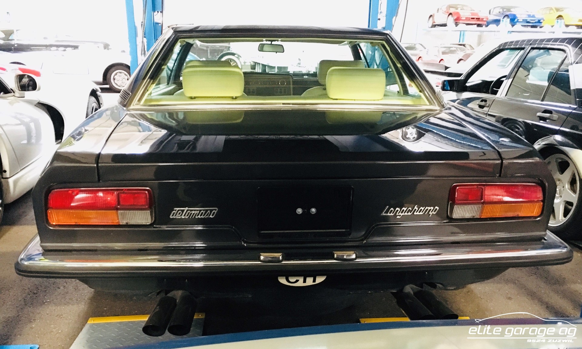 DE TOMASO LONGCHAMP-image-7