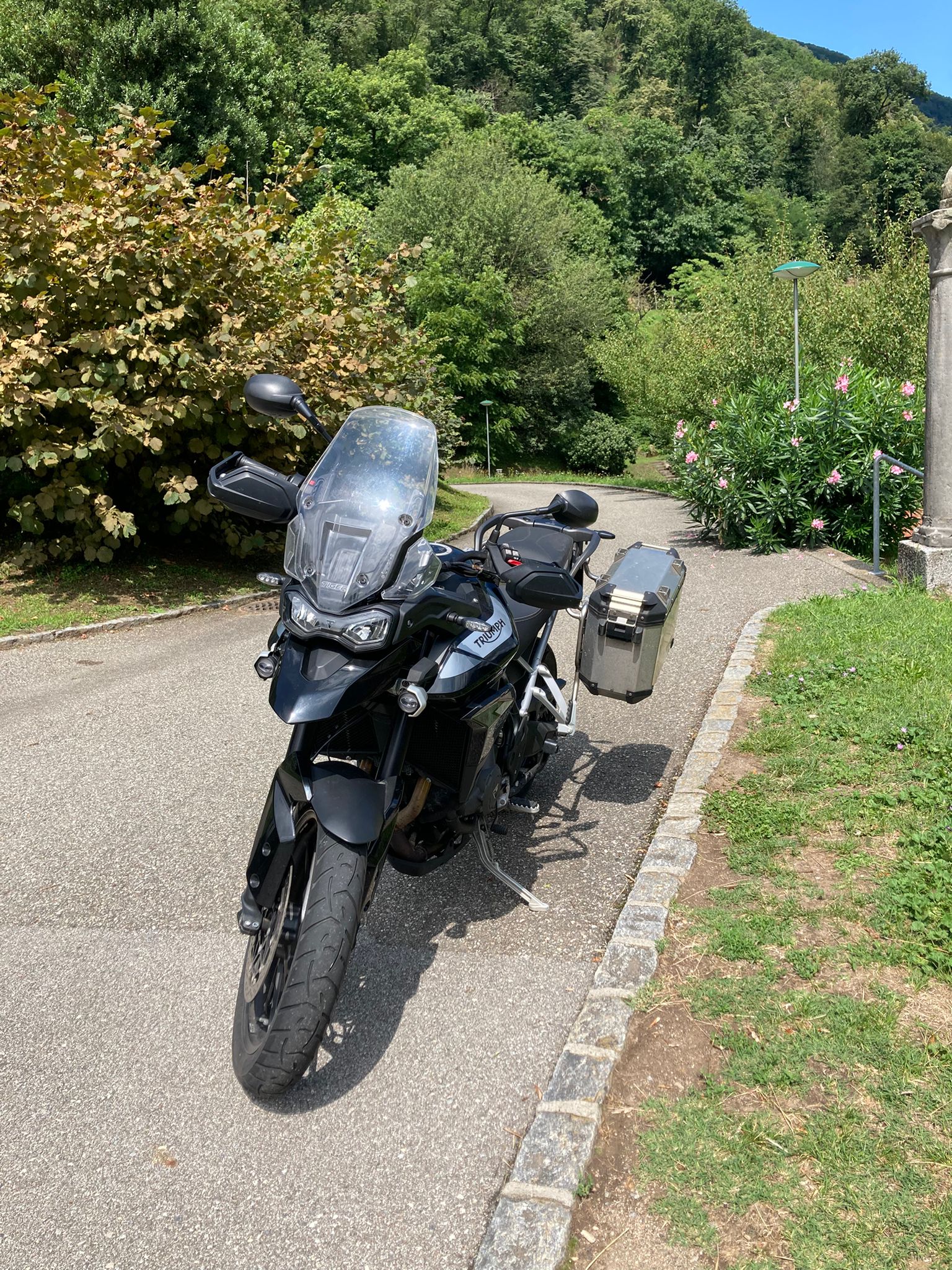 TRIUMPH Tiger 900 GT Pro-image-1