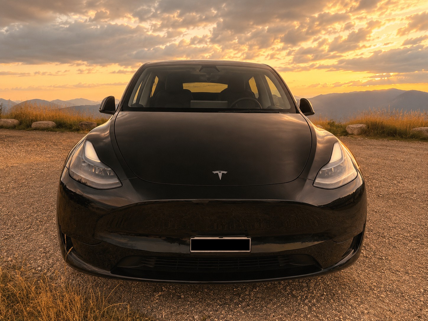 TESLA Model Y RWD-image-4