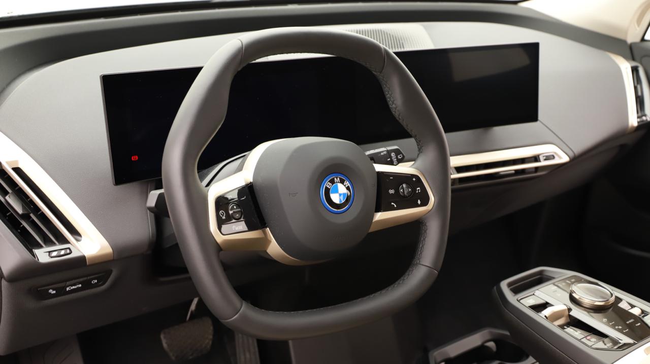 BMW iX xDrive40-image-6
