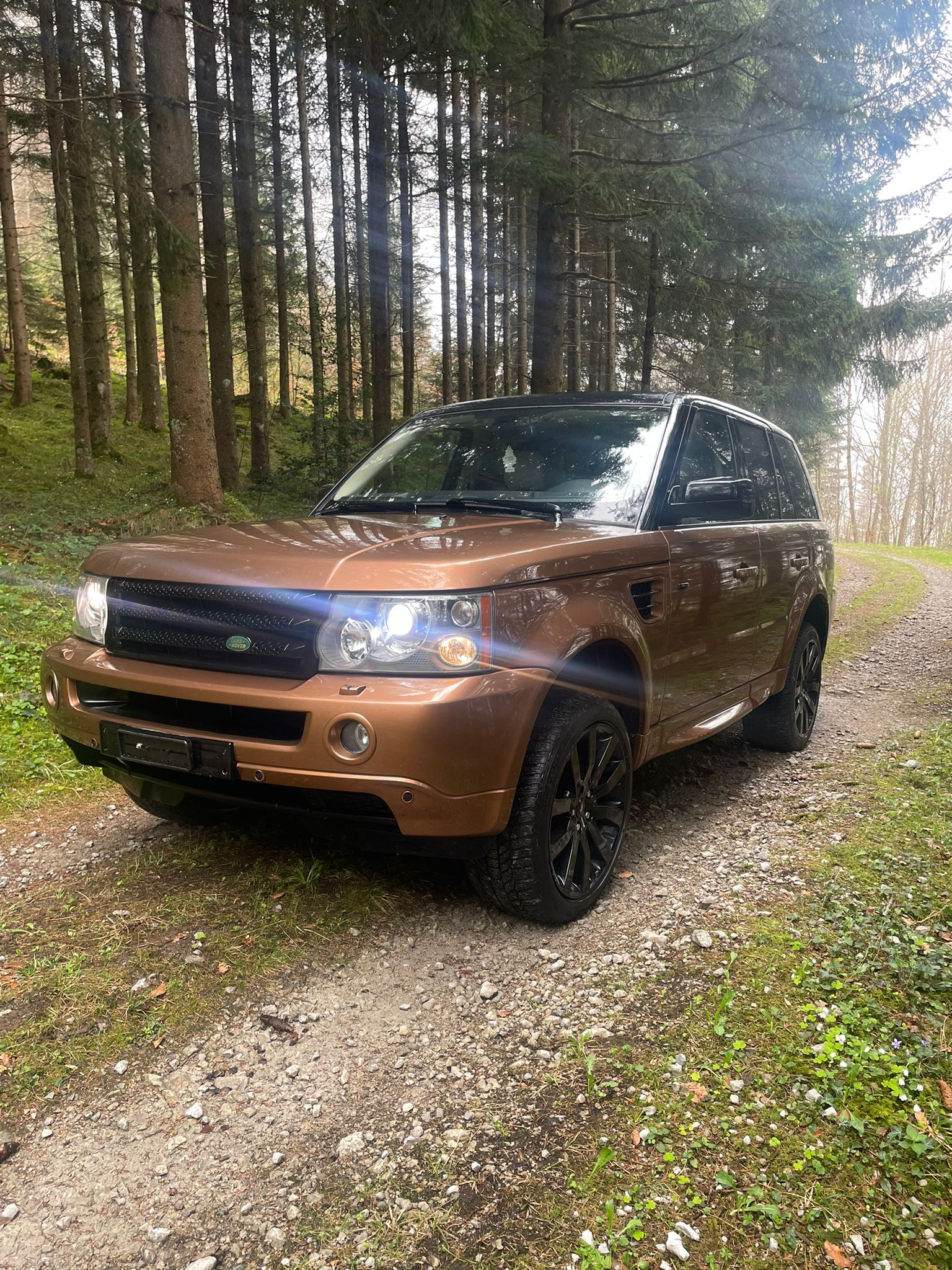 LAND ROVER Range Rover Sport 2.7 Td6 HSE Automatic-image-3