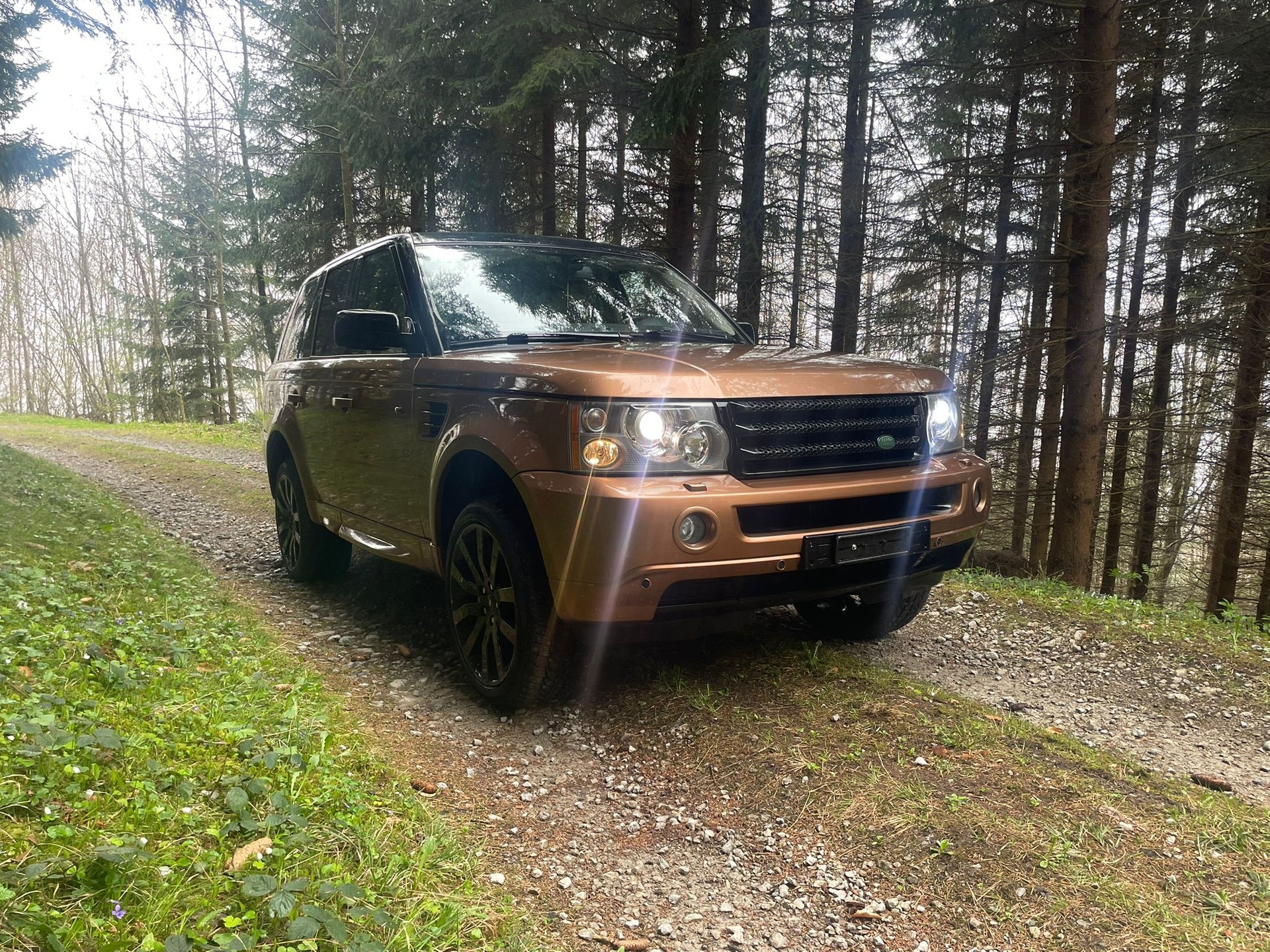 LAND ROVER Range Rover Sport 2.7 Td6 HSE Automatic-image-1