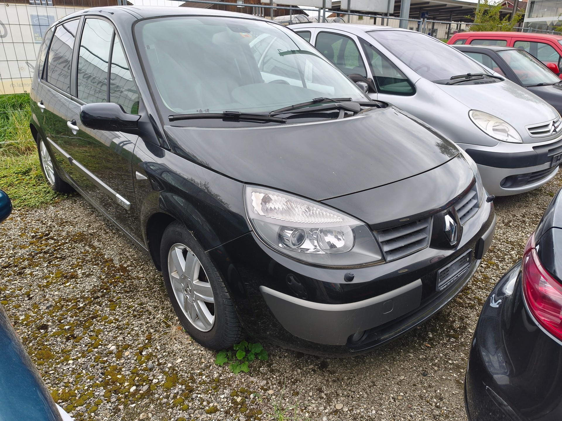 RENAULT Scénic 1.9 dCi Privilège