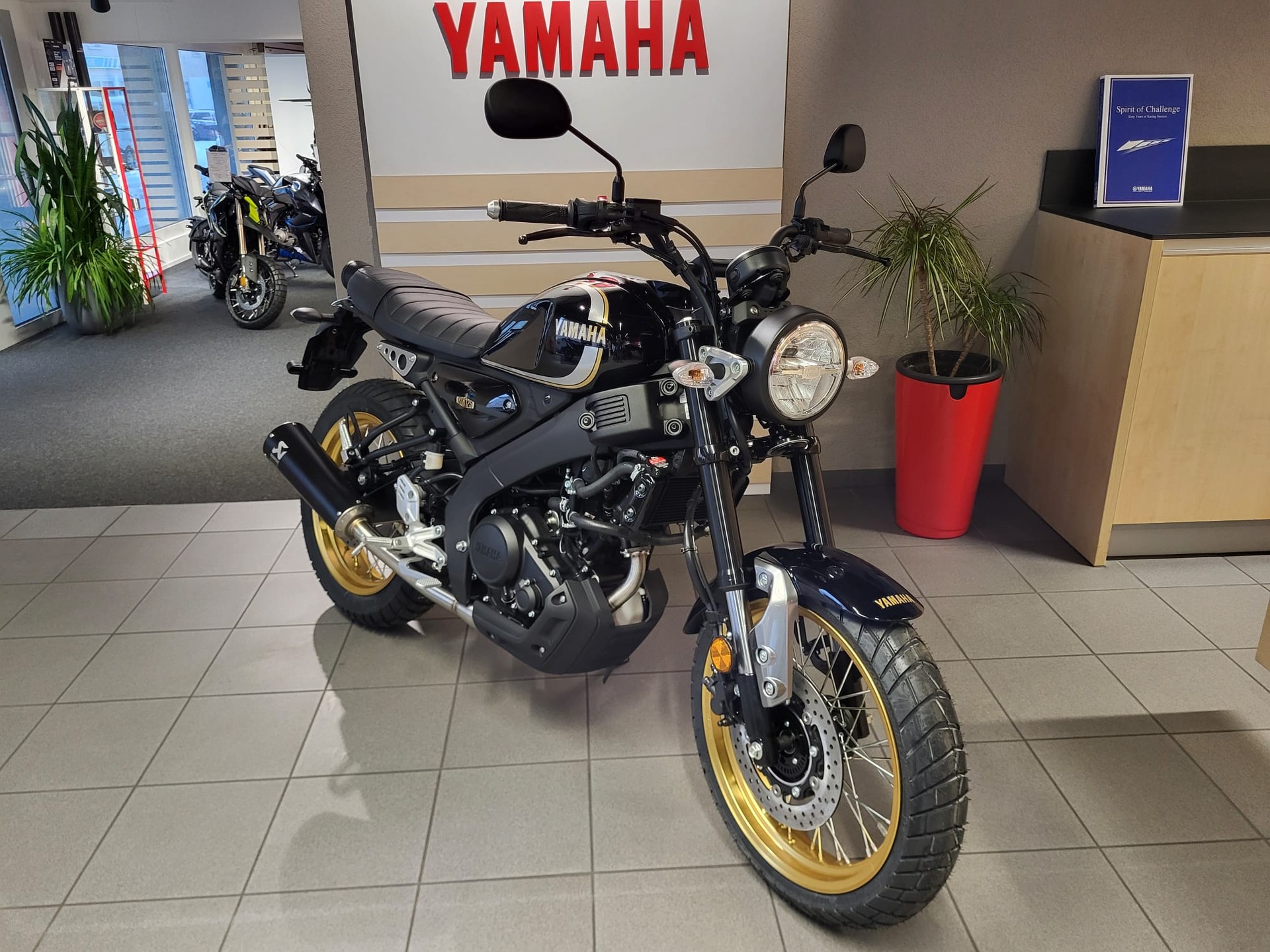 YAMAHA XSR 125 Legacy-image-7