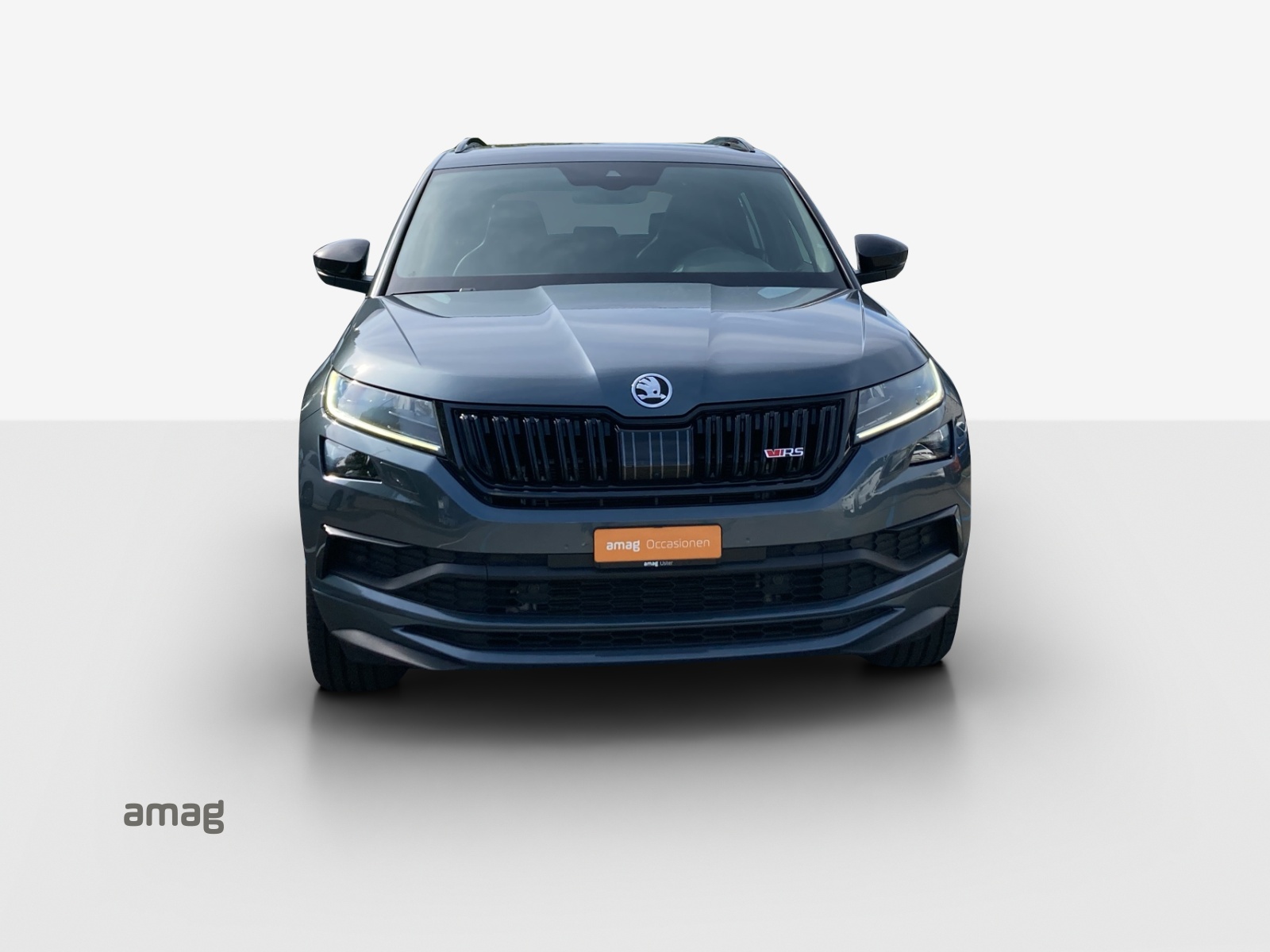 SKODA Kodiaq 2.0 Bi-TDI SCR RS 4x4 DSG-image-6