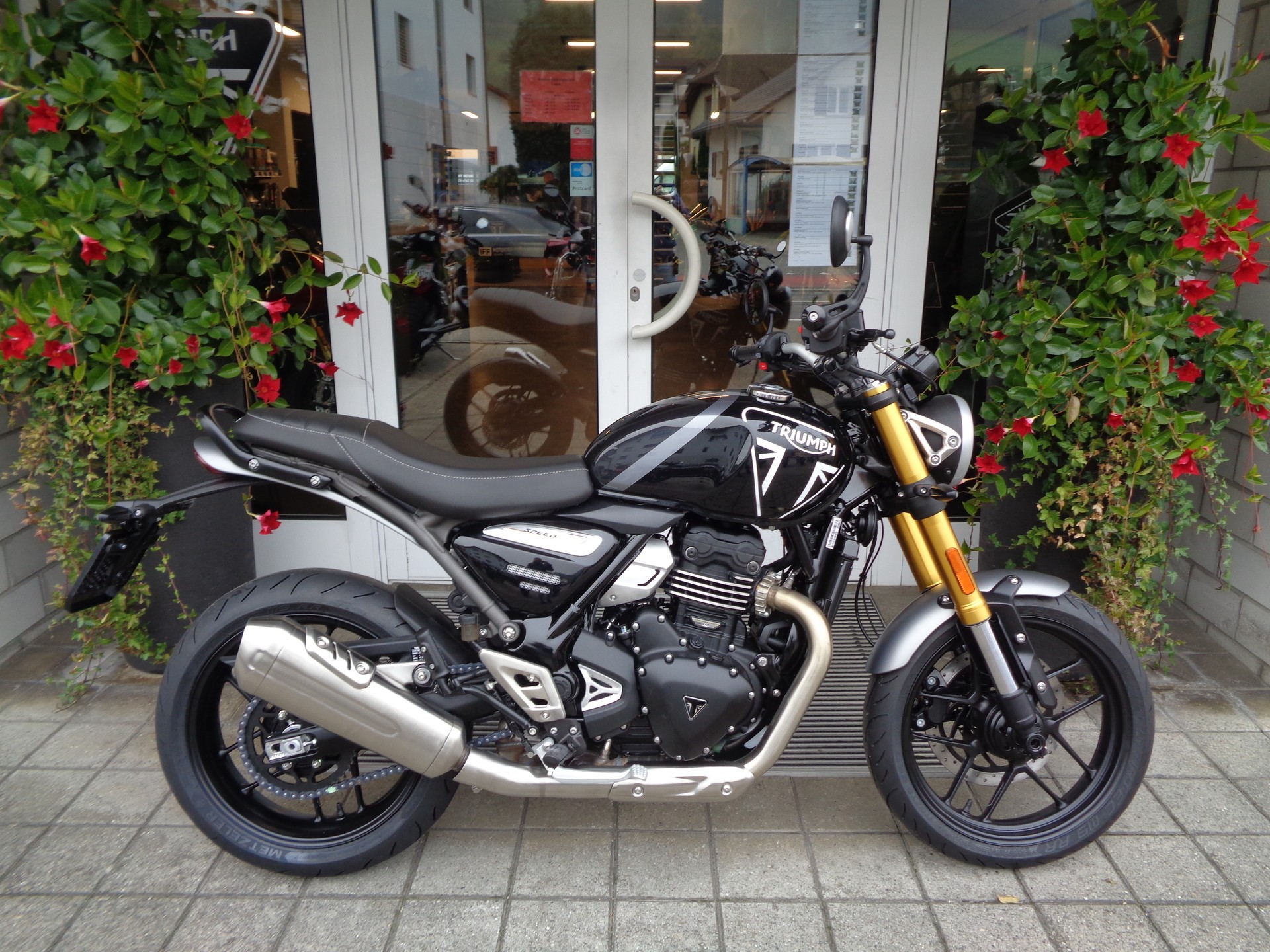 TRIUMPH Speed 400-image-3
