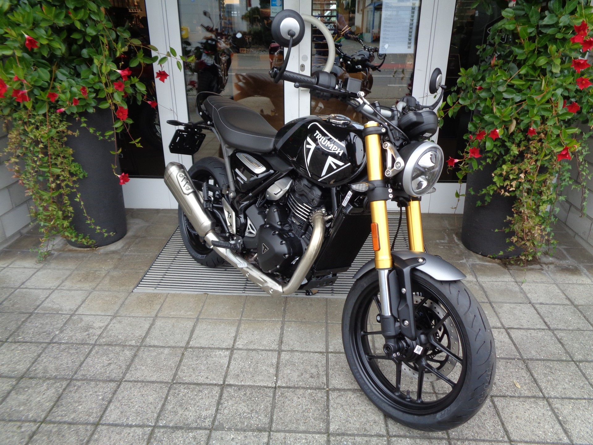 TRIUMPH Speed 400-image-2