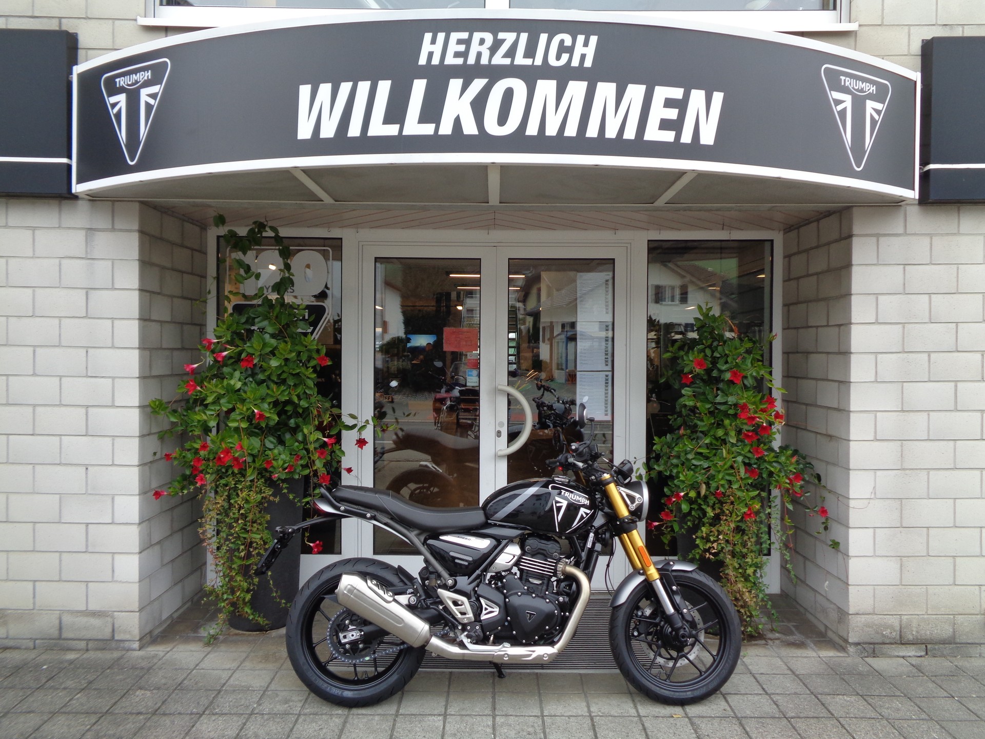 TRIUMPH Speed 400-image-1