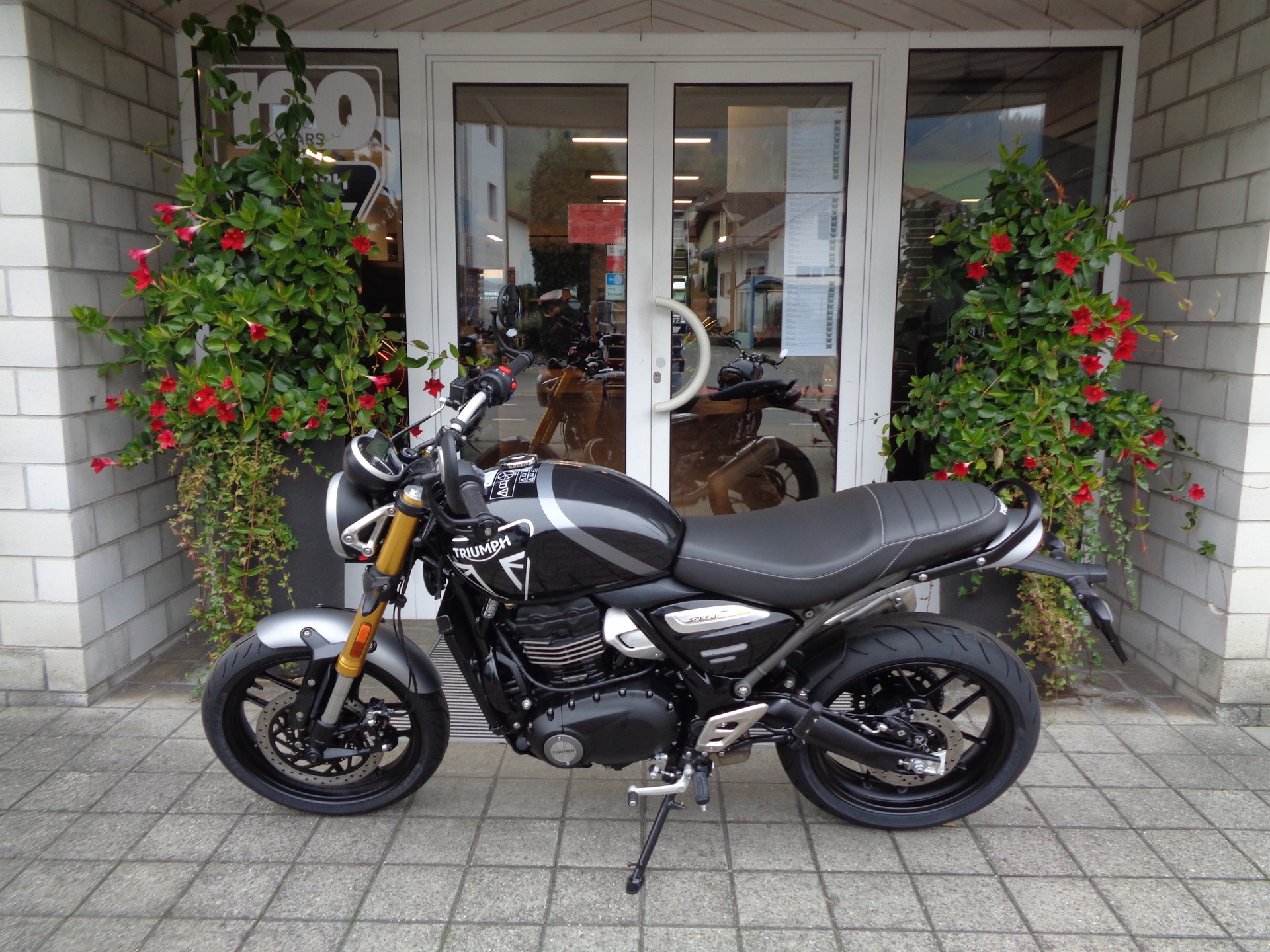 TRIUMPH Speed 400-image-5