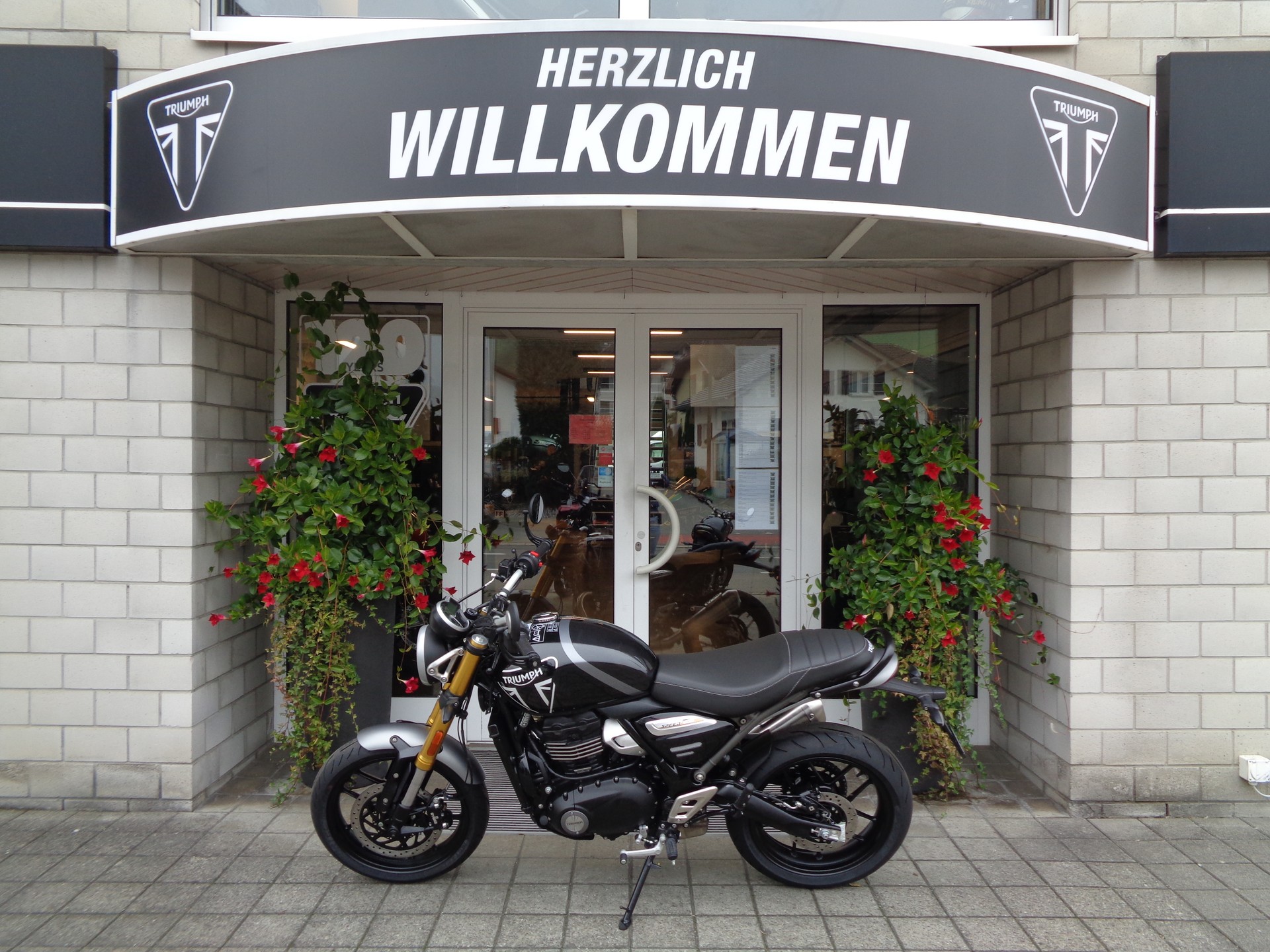 TRIUMPH Speed 400-image-4