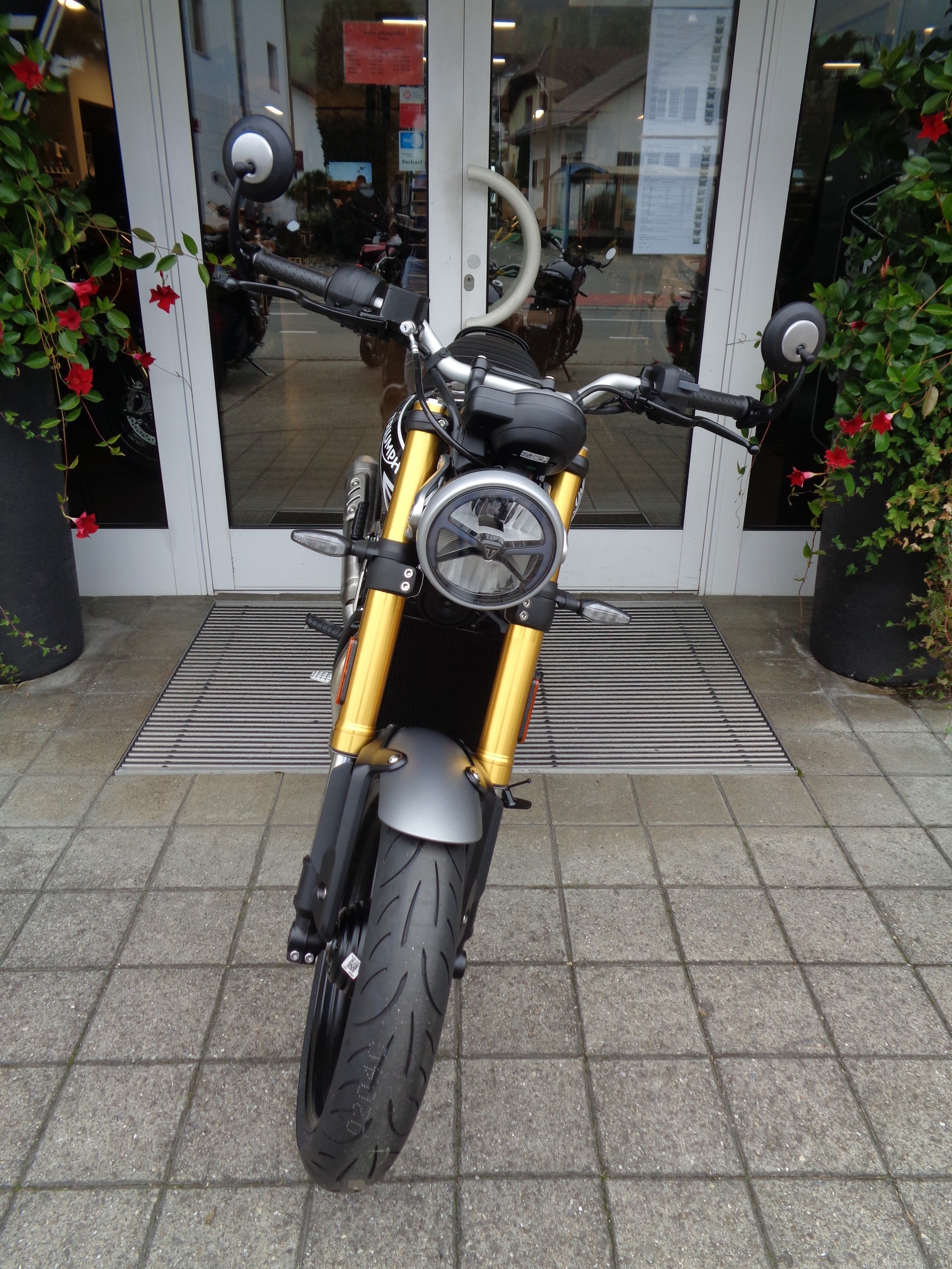 TRIUMPH Speed 400-image-6