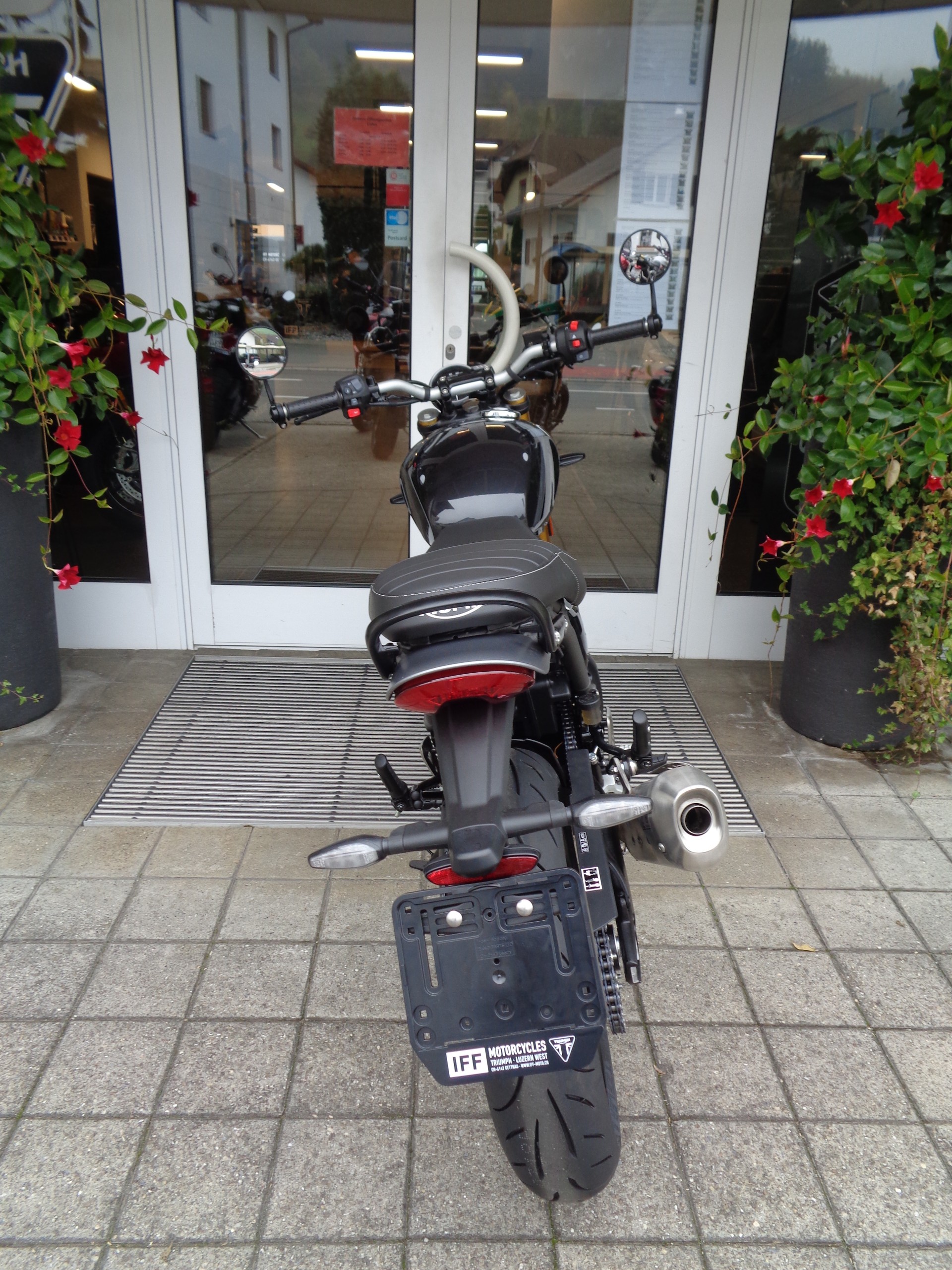 TRIUMPH Speed 400-image-7