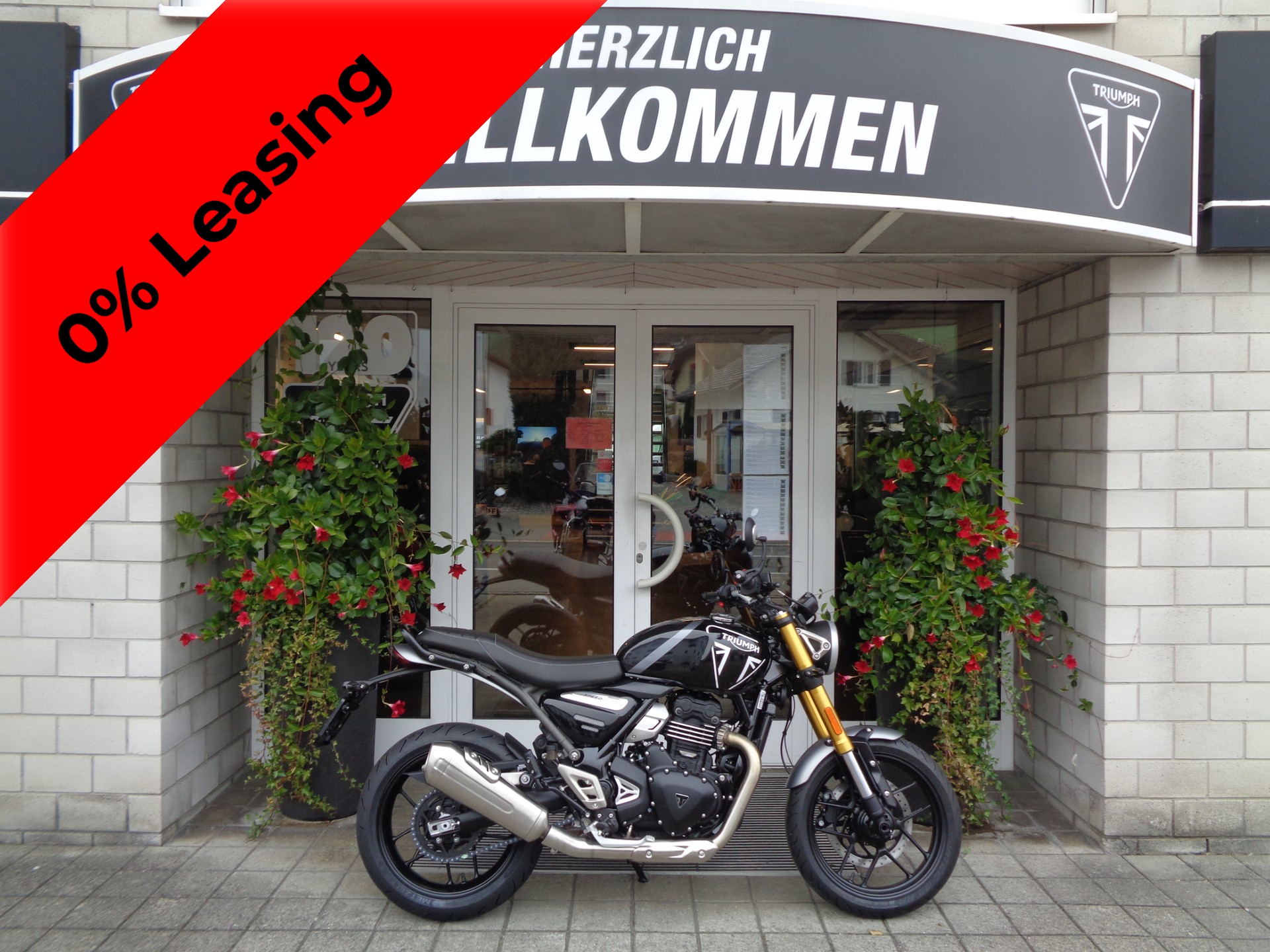 TRIUMPH Speed 400-image-0